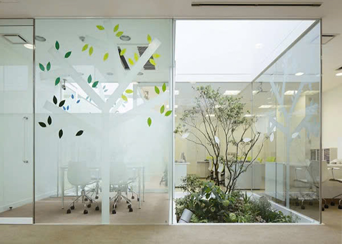 Hướng dẫn chọn decal dán kính phù hợp