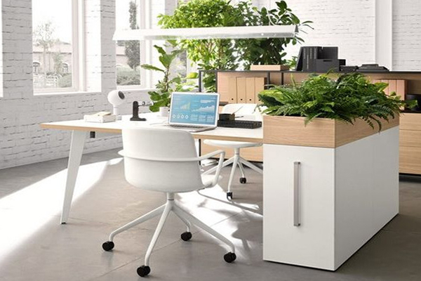 Sắp xếp theo phong cách mini office