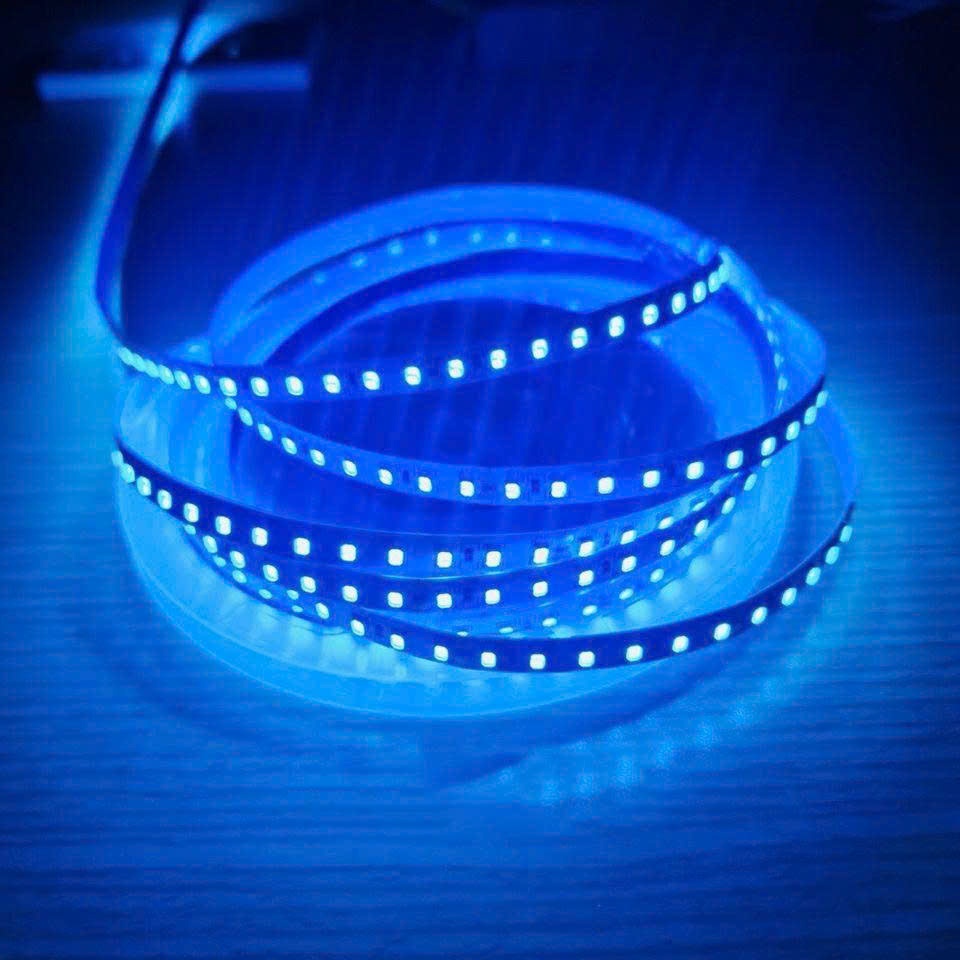 LED DÂY DÁN 5M XANH DƯƠNG
