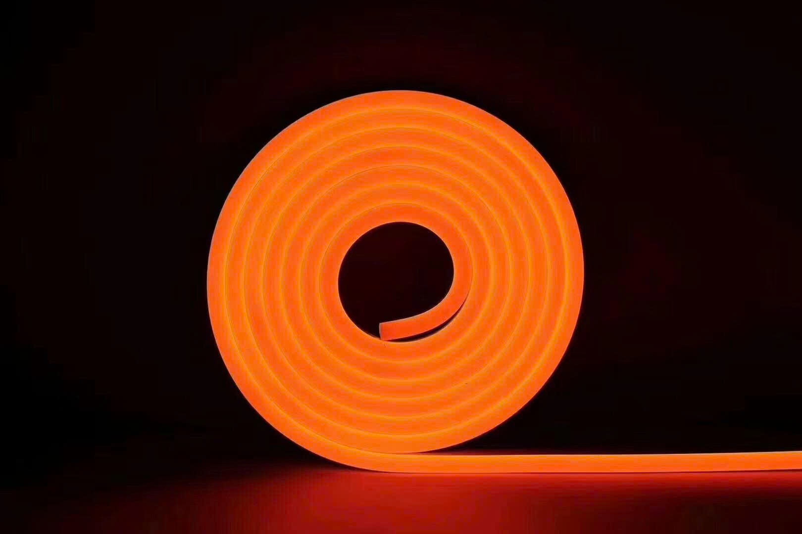 LED NEON 5M CAM