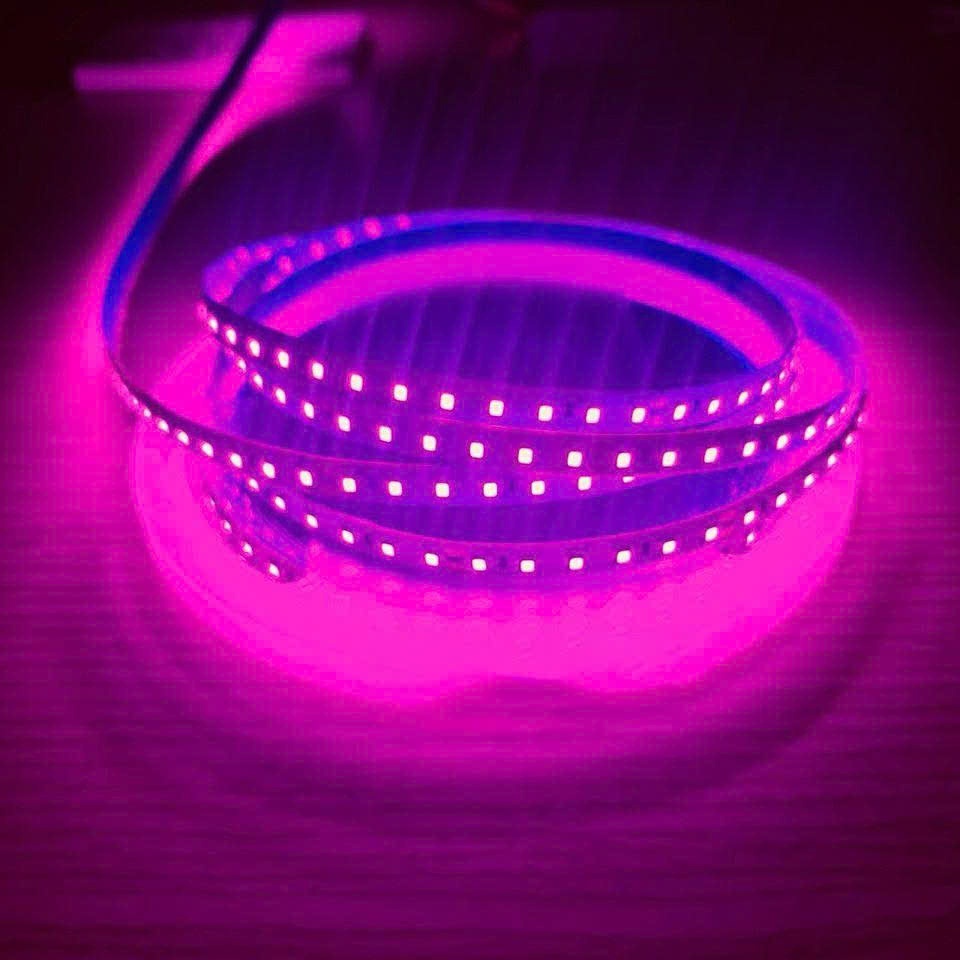 LED DÂY DÁN 5M HỒNG