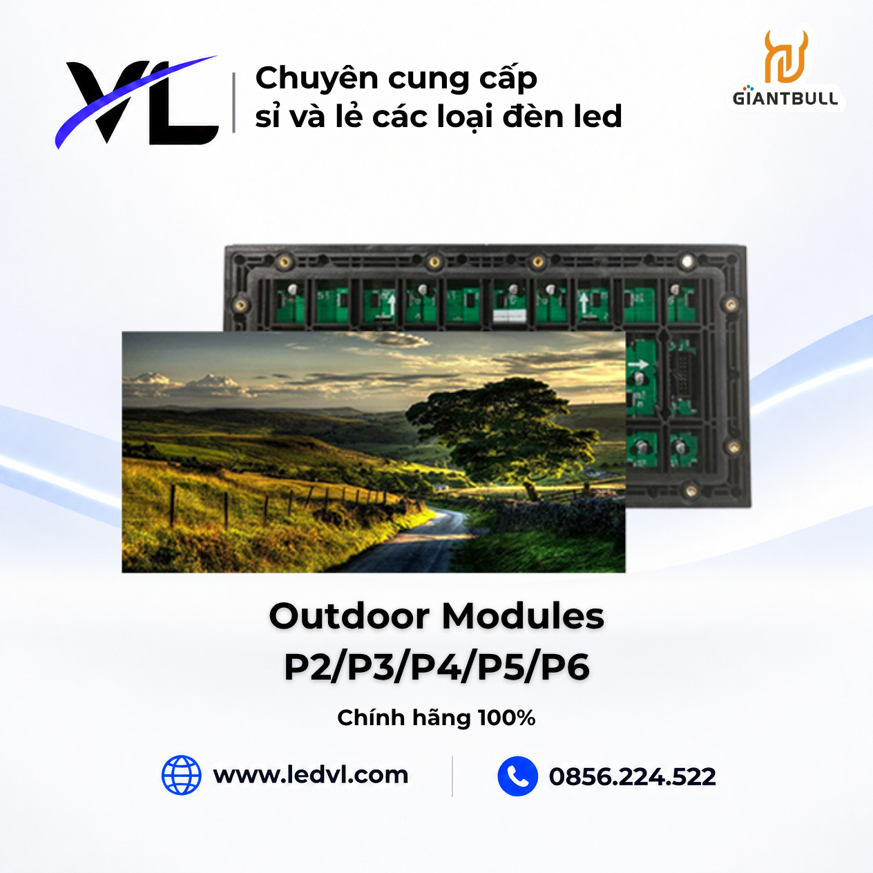 MODULE LED OUTDOOR GIANTBULL