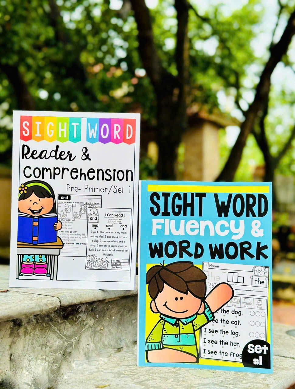 Combo Sight word reader and comprehension + Sight word Fluency workbook-duoc-ban-tai-Nhà sách Hạnh Phúc