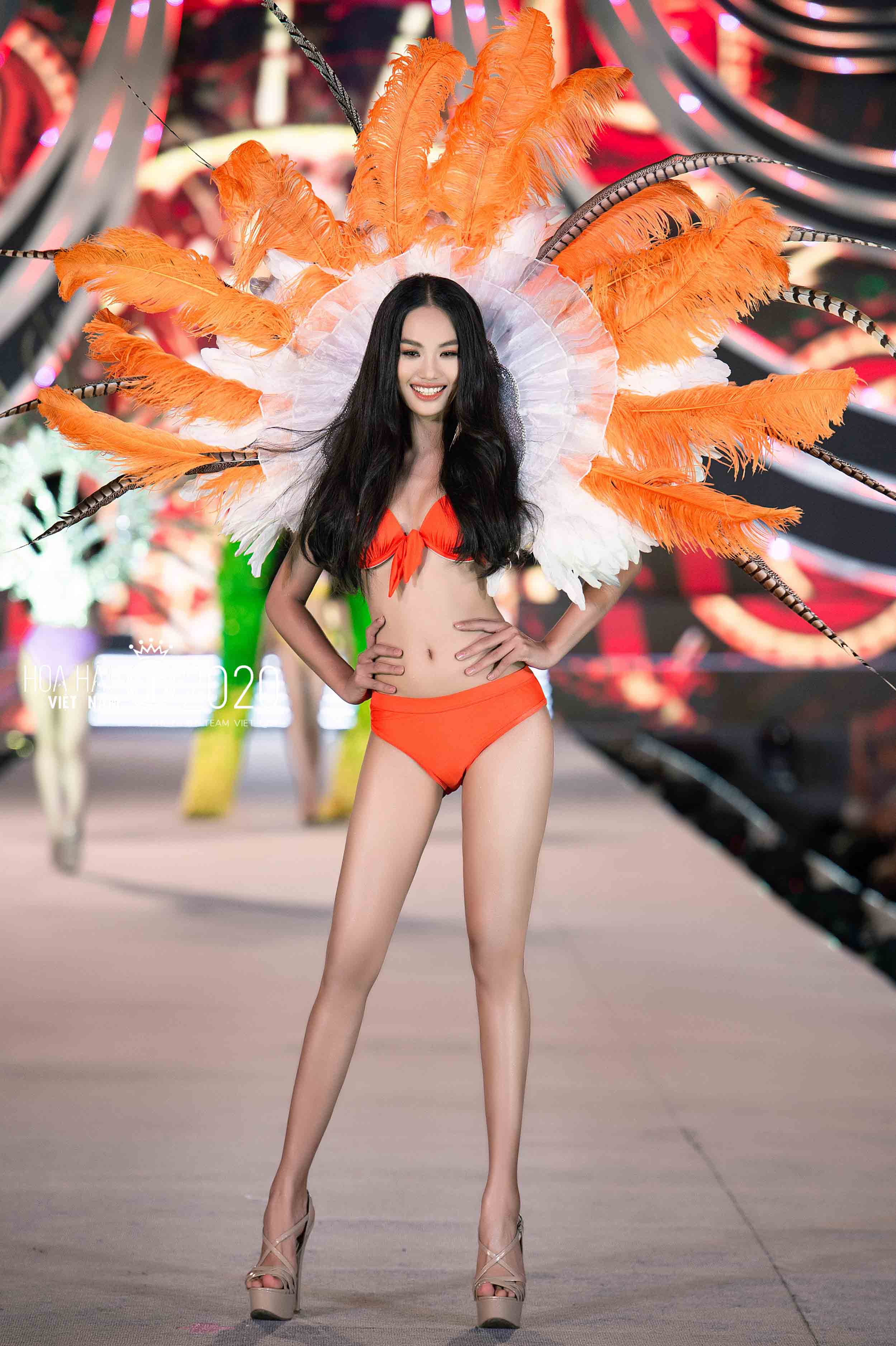 bản sao của vux_2198