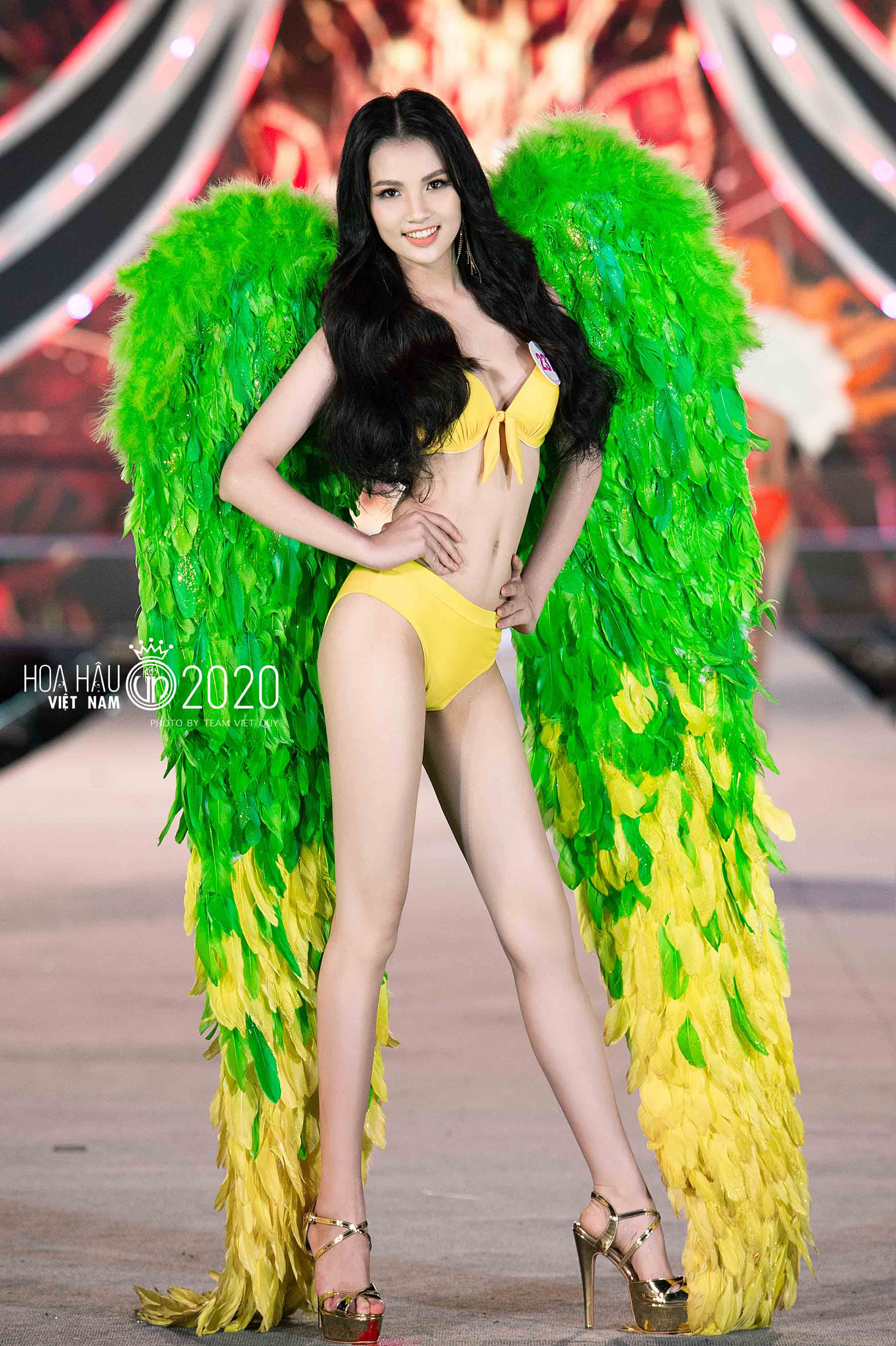 bản sao của vux_2230