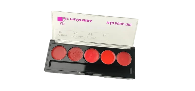 Khay son chuẩn màu lâu phai Mira Aroma Rich Classical Velvet Lipstick C434