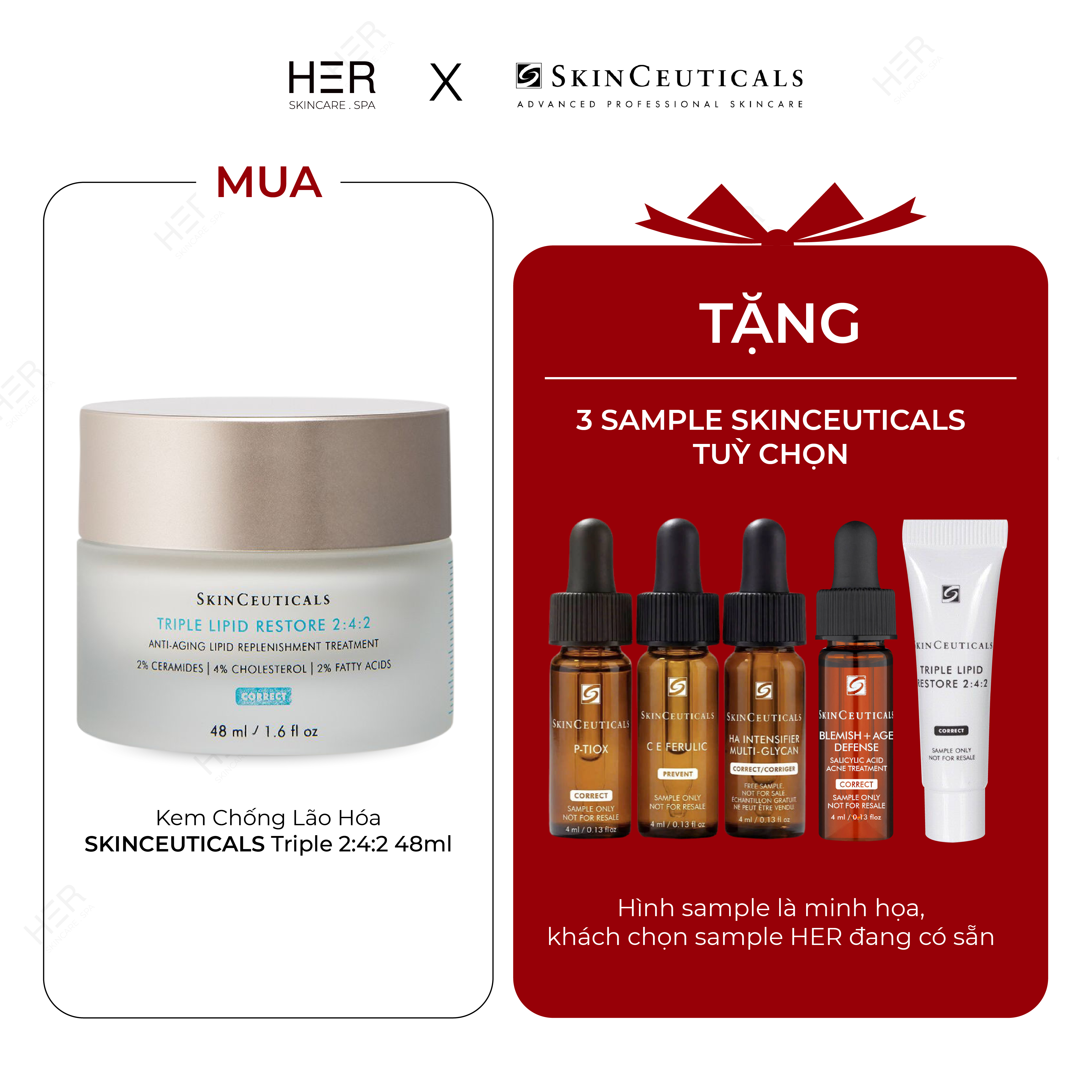 Kem Dưỡng Phục Hồi Hàng Rào Lipid | SkinCeuticals Triple Lipid Restore 2:4:2 | 48 ml