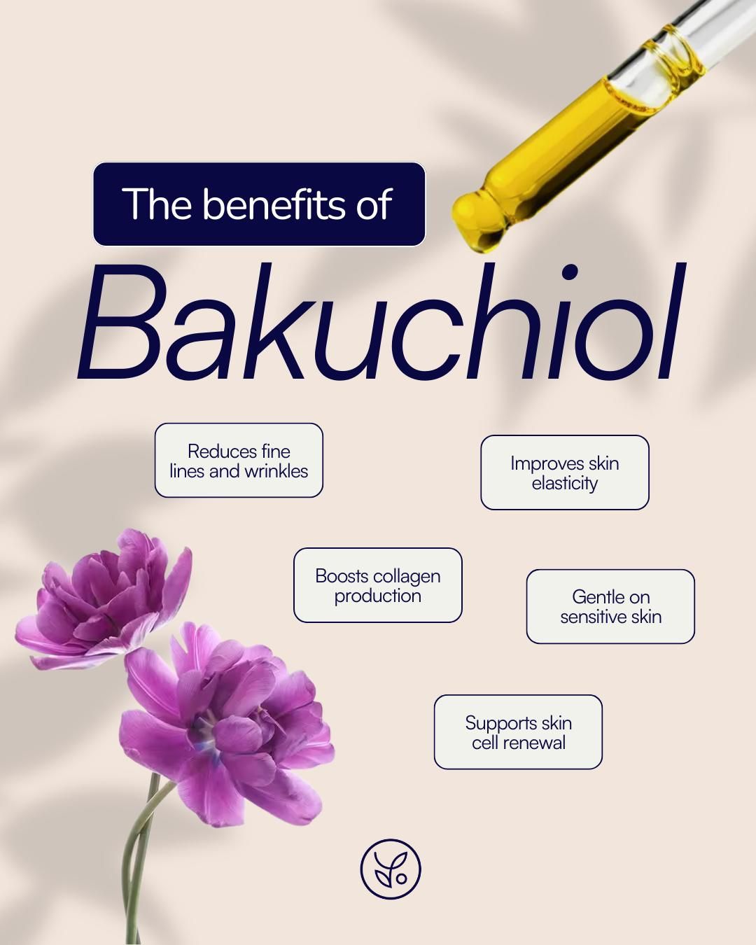 Bakuchiol Là Gì? Công Dụng, Cách Dùng Và Vì Sao Được Gọi Là “Retinol Thực Vật”