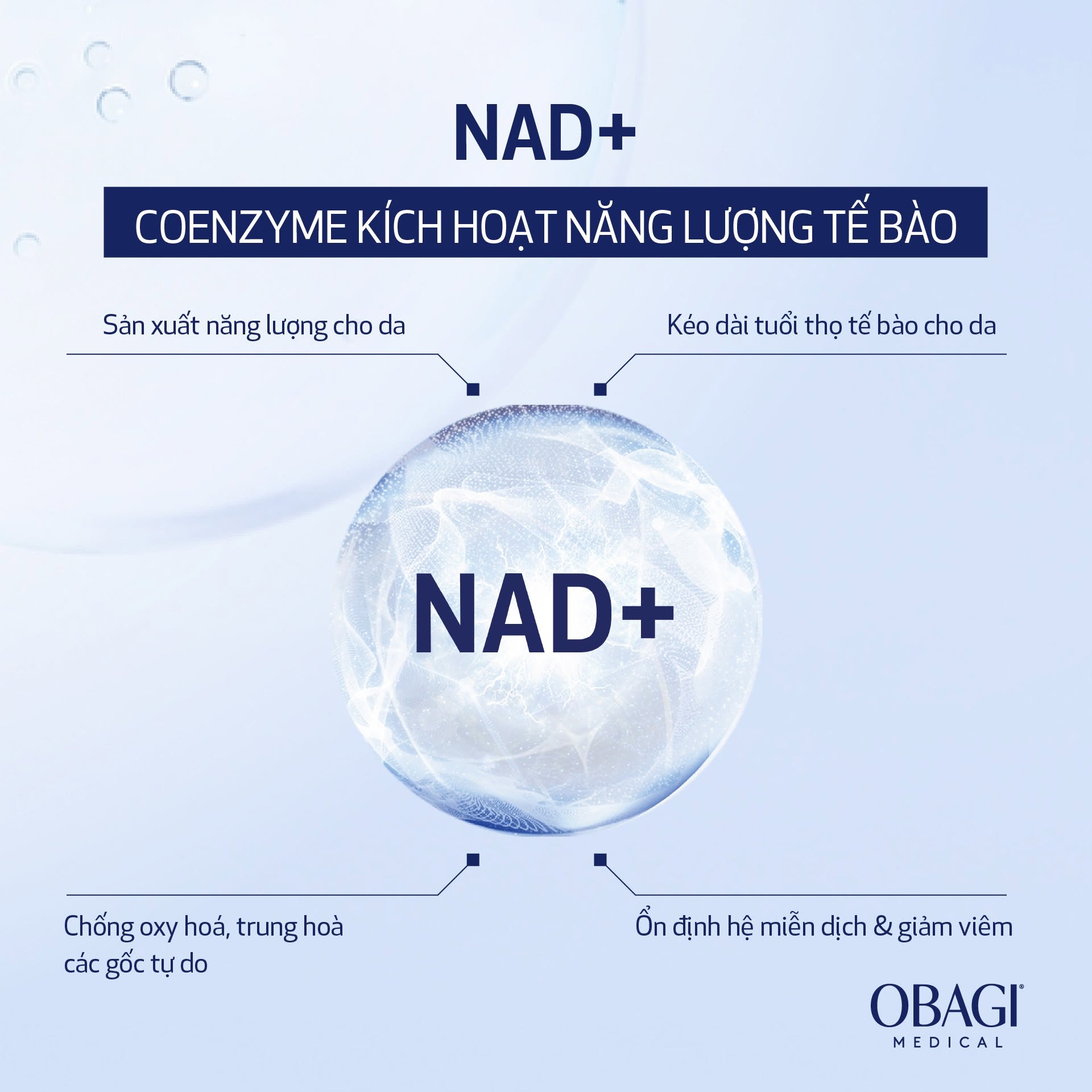 Tai-Sao-Phai-Bo-Sung-Dong-Thoi-3-Hoat-Chat-NAD-NMN-amp-NAM--1.jpg