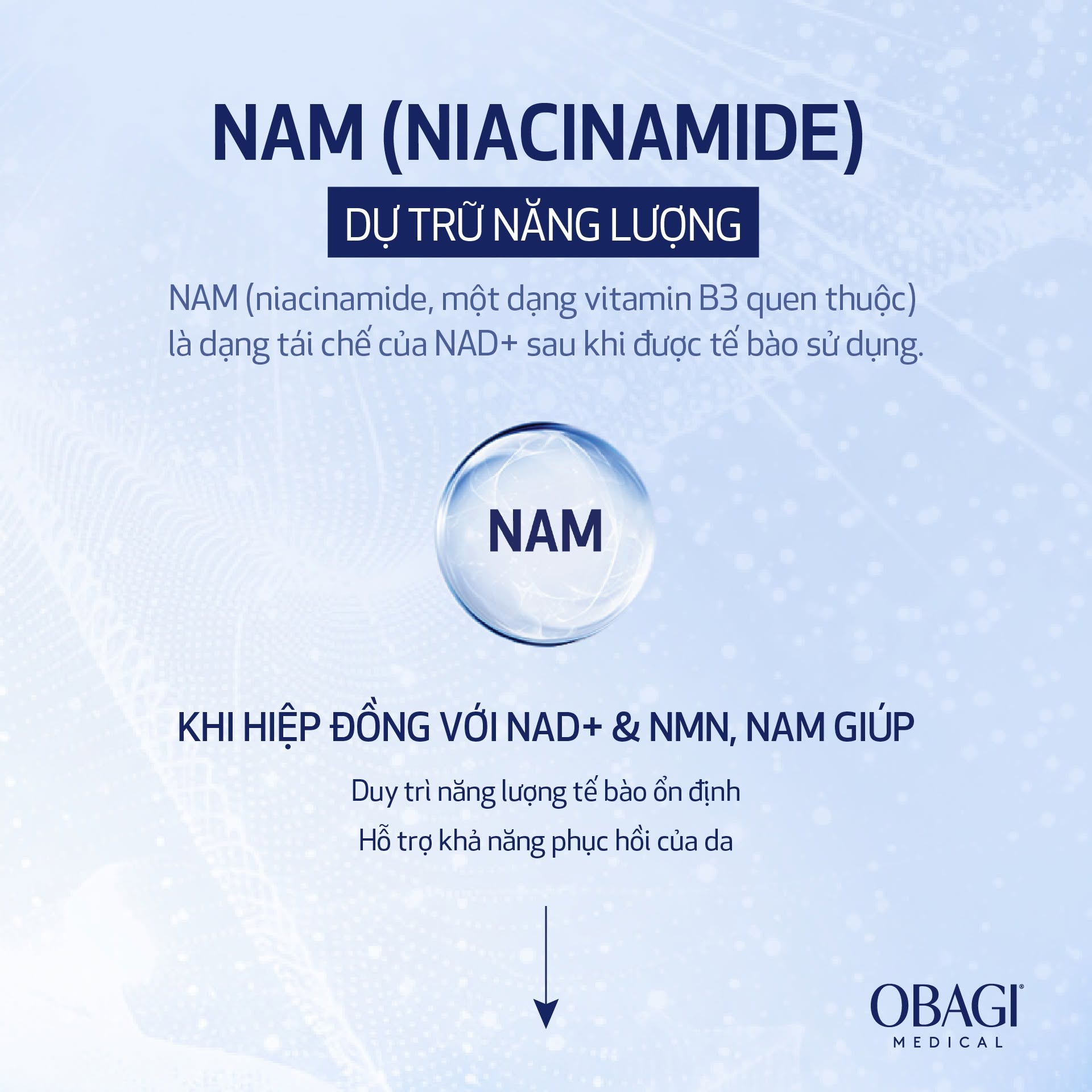 Tai-Sao-Phai-Bo-Sung-Dong-Thoi-3-Hoat-Chat-NAD-NMN-amp-NAM--4.jpg