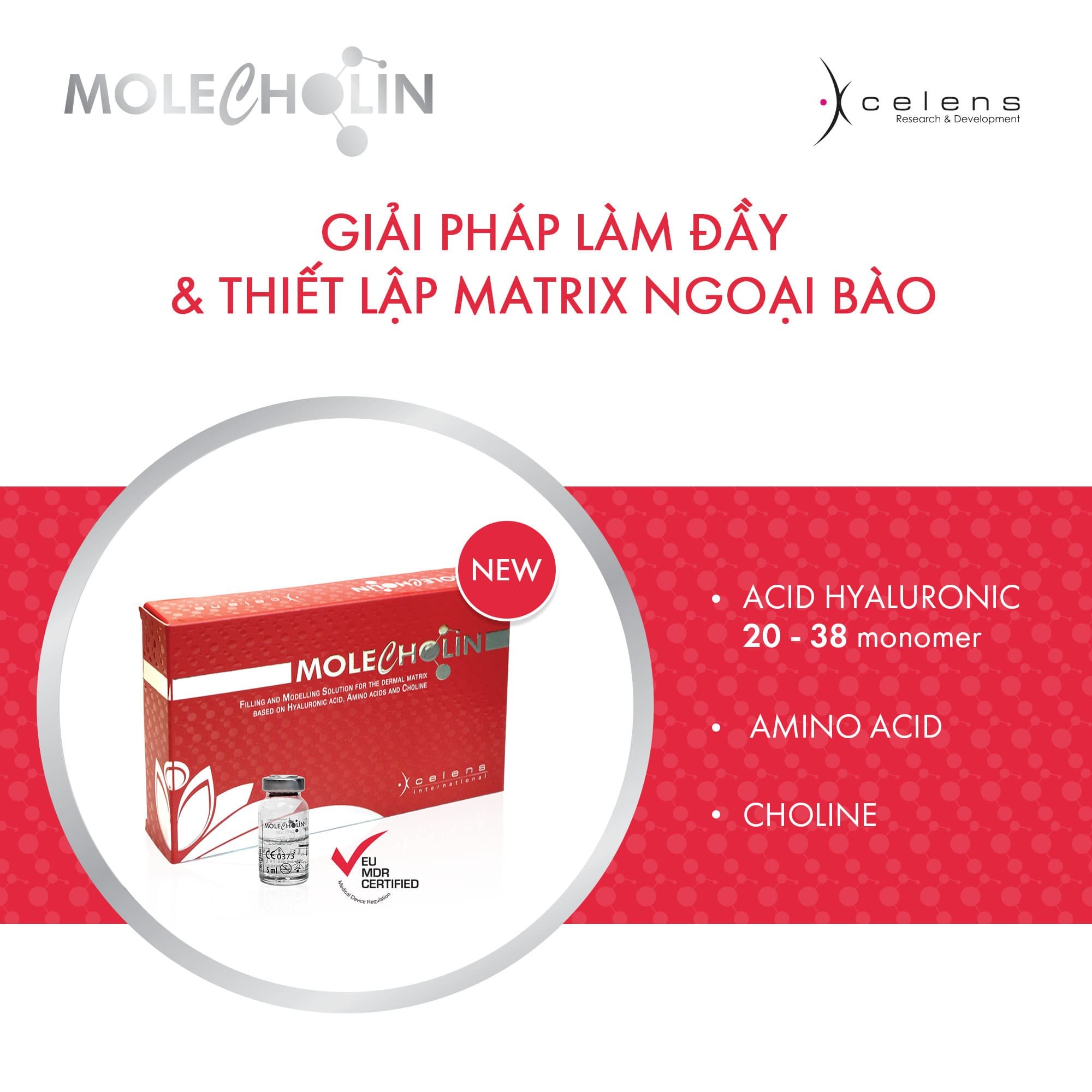 MOLECHOLIN – Huyết thanh làm săn chắc, cải thiện nếp nhăn, thu nhỏ lỗ chân lông