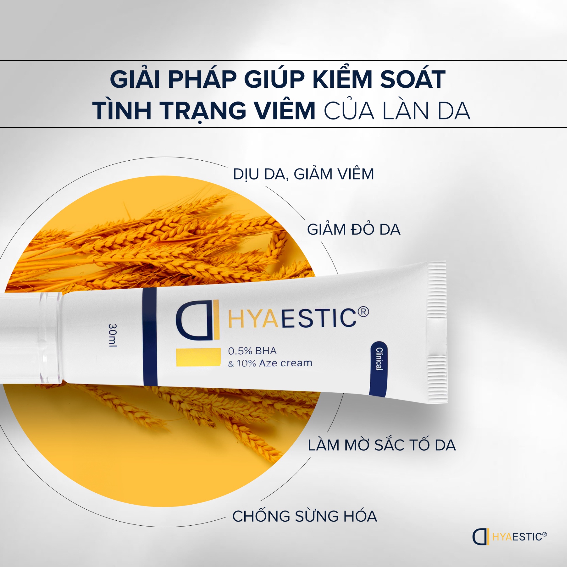 Kem trẻ hóa, giảm sần, hỗ trợ thu nhỏ lỗ chân lông, sáng da và điều trị mụn Hyaestic 0,5% BHA & 10% Aze Cream (30ml)