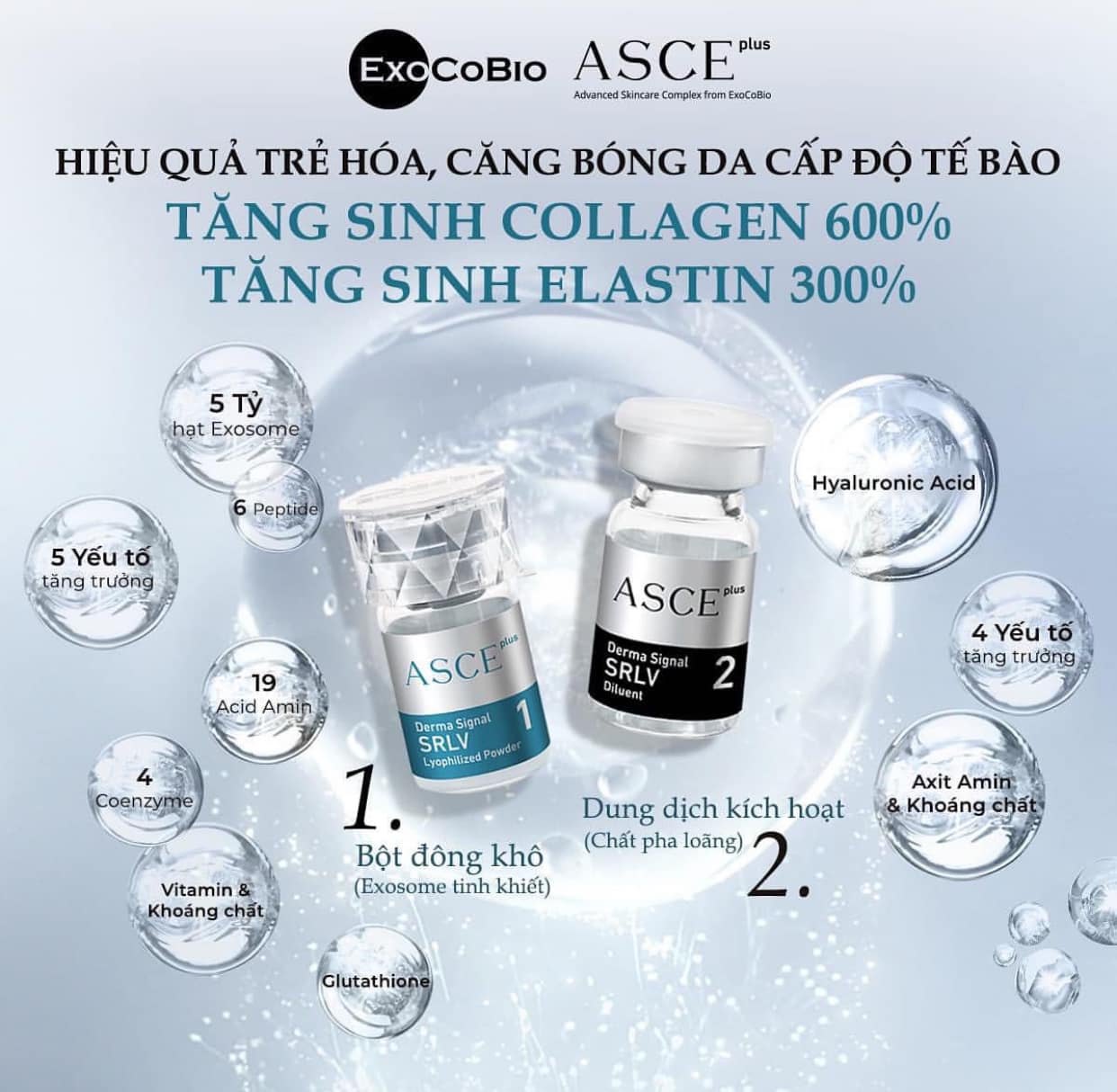 Cấy căng bóng Exosome Asce Hàn Quốc - Tinh chất căng bóng da tế bào gốc