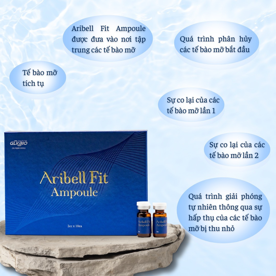 Tinh chất tan mỡ, giảm béo Aribel Fit lọ 2ml