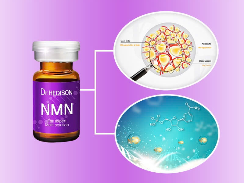 NMN Peptide Dr.Hedison trẻ hoá, khoẻ da