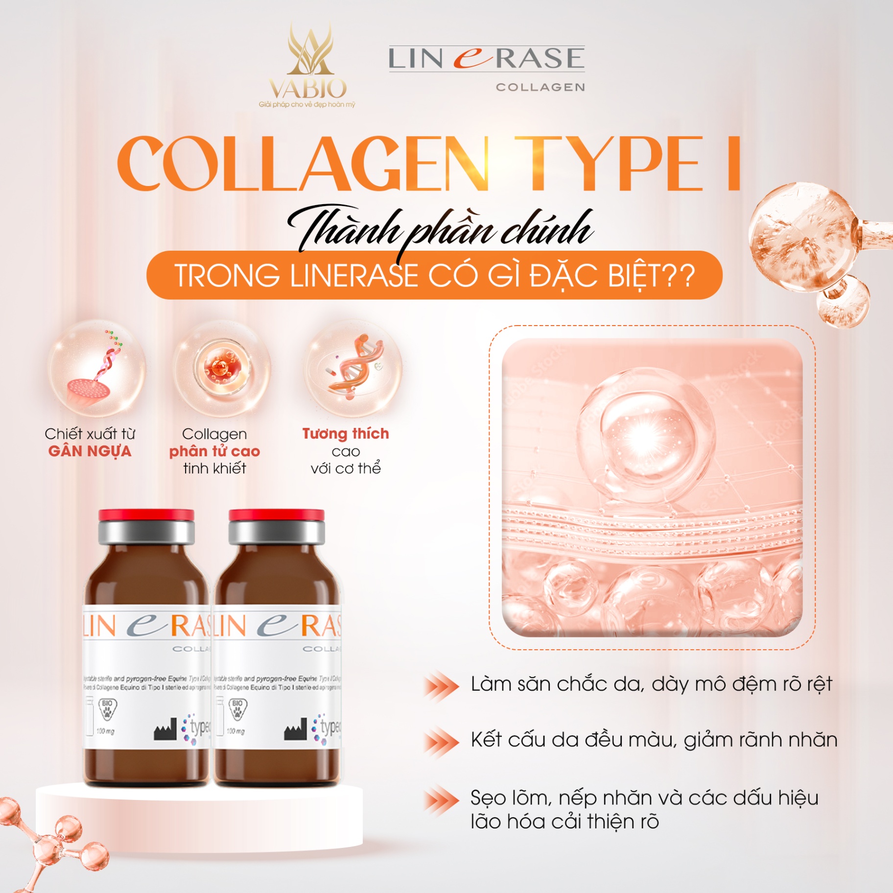 LINERASE COLLAGEN - PHỤC HỒI VÀ TÁI TẠO THẾ HỆ MỚI