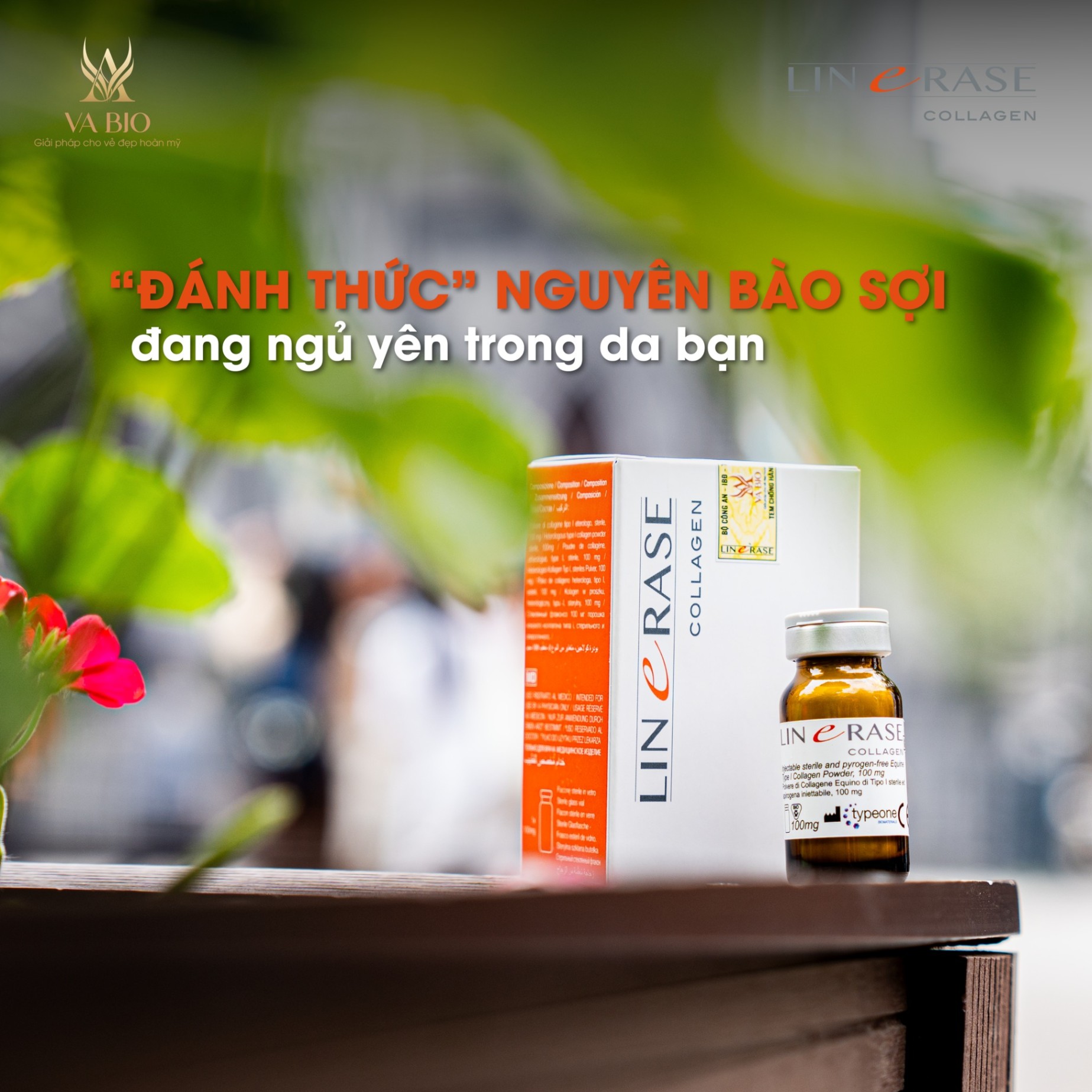 LINERASE COLLAGEN - LIỆU PHÁP TRẺ HOÁ VÙNG KÍN AN TOÀN, HIỆU QUẢ