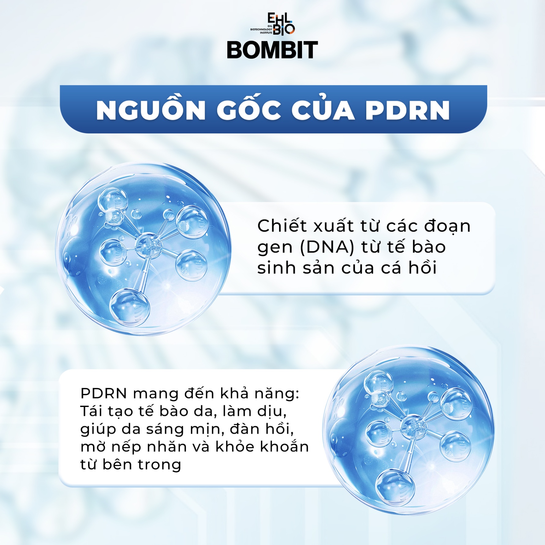 BOMBIT PDRN Meso trẻ hóa da từ tế bào gốc cá hồi