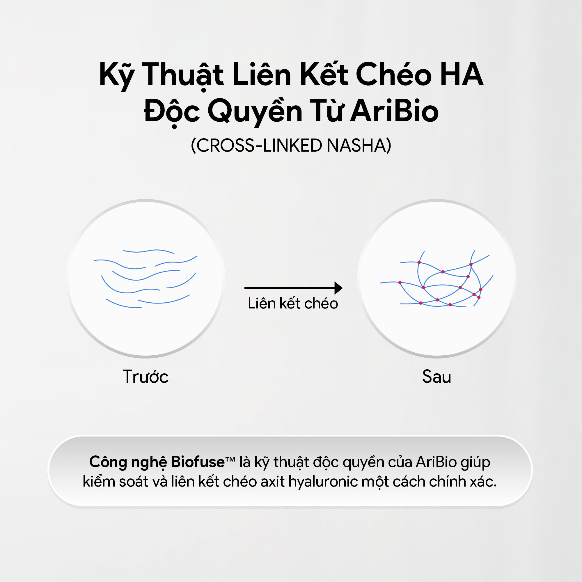 Chất Làm Đầy HA Bidan Hỗ Trợ Làm Đầy Nếp Nhăn, Tạo Hình Khuôn Mặt & Trẻ Hóa Da