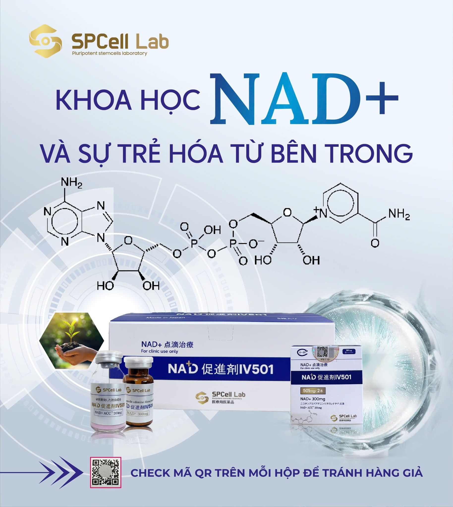 Dung dịch truyền tái tạo năng lượng tế bào, trẻ hóa làn da SPCell Lab NAD+ IV 501