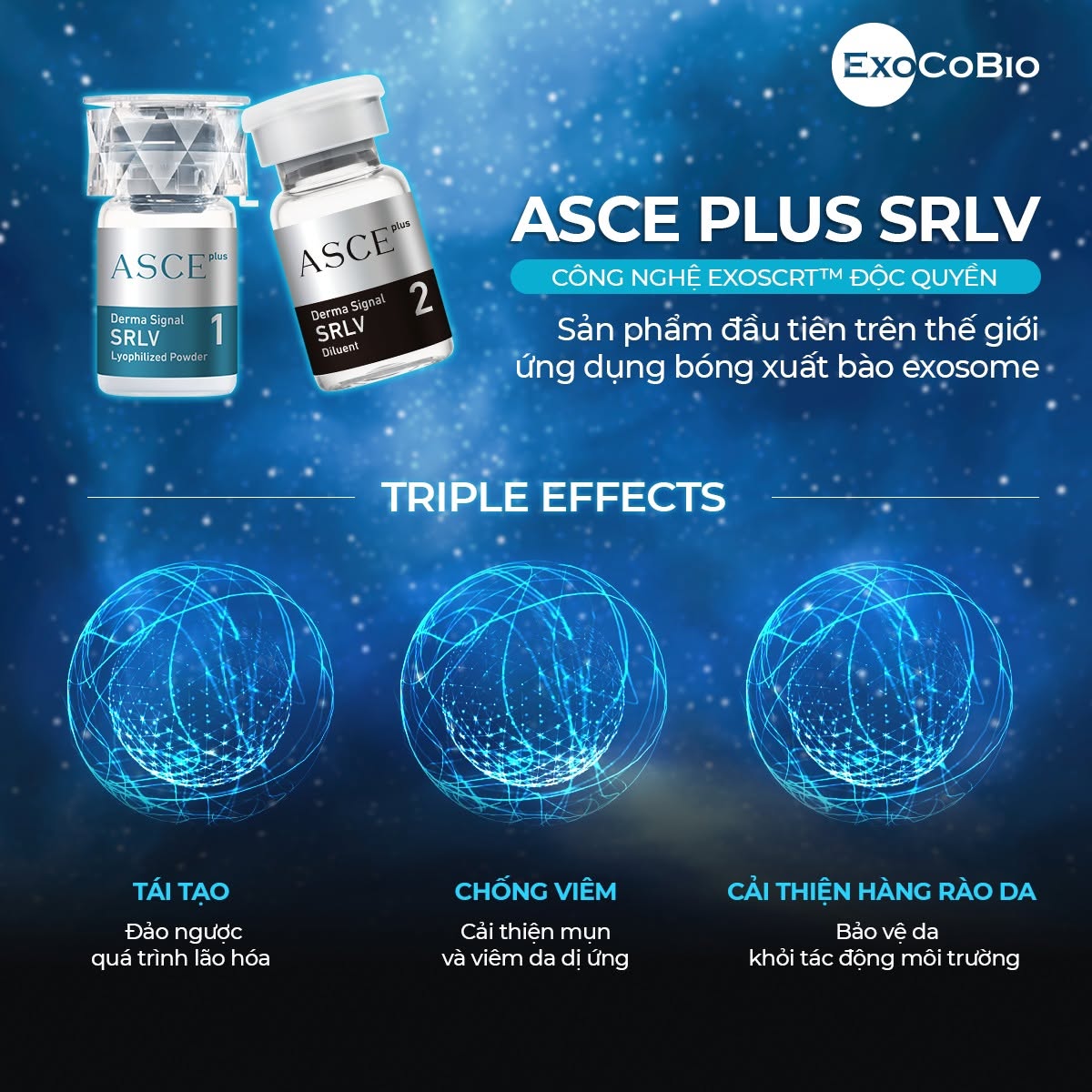 Cấy căng bóng Exosome Asce Hàn Quốc - Tinh chất căng bóng da tế bào gốc