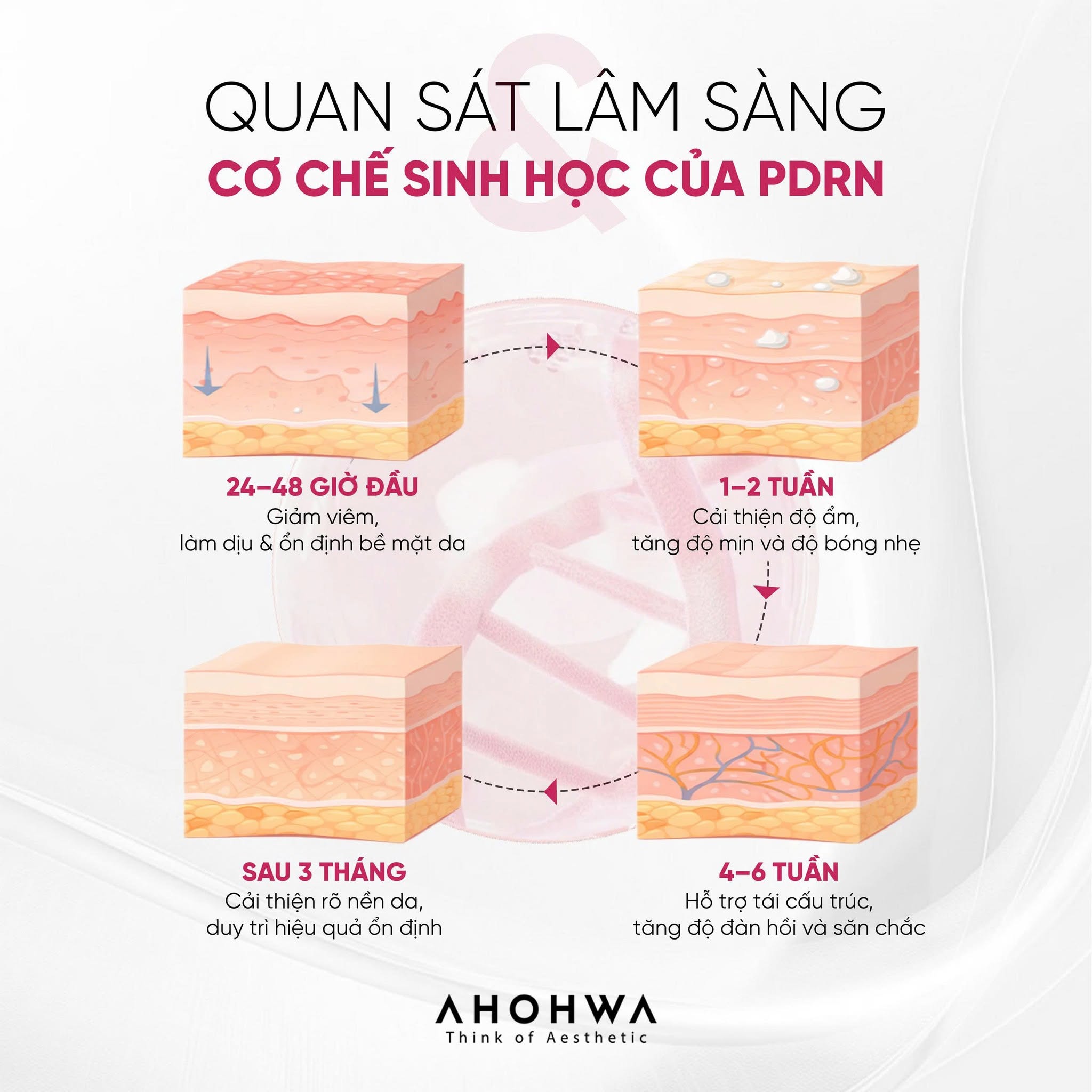 Kem tái thiết làn da nguyên bản trẻ hóa cấp độ tế bào Ahohwa Prestige Solution Intensive PDRN Cream