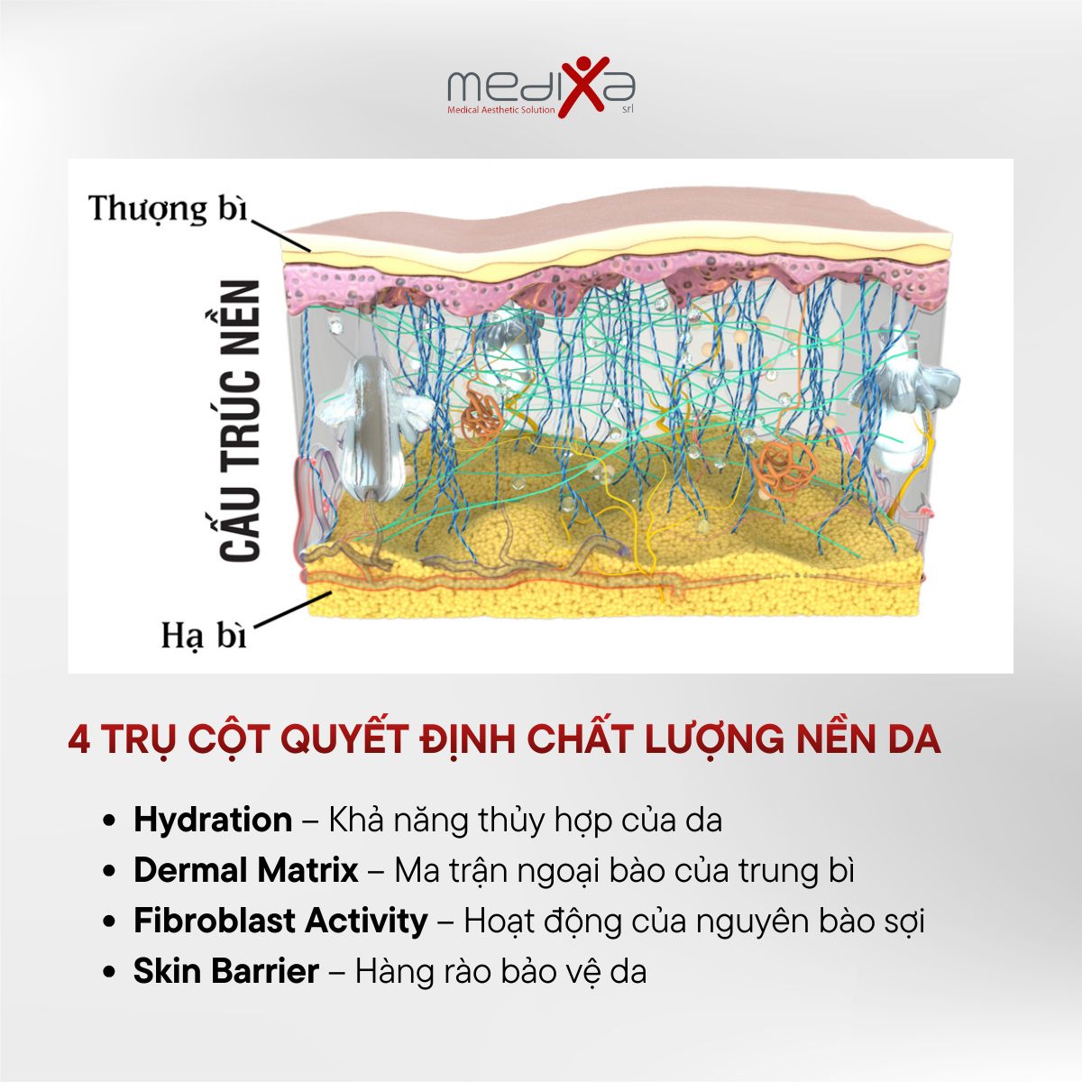 Liệu Trình Tiêm BAP Ejal 40: Phác Đồ Tái Cấu Trúc Da Sinh Học Từ Ý