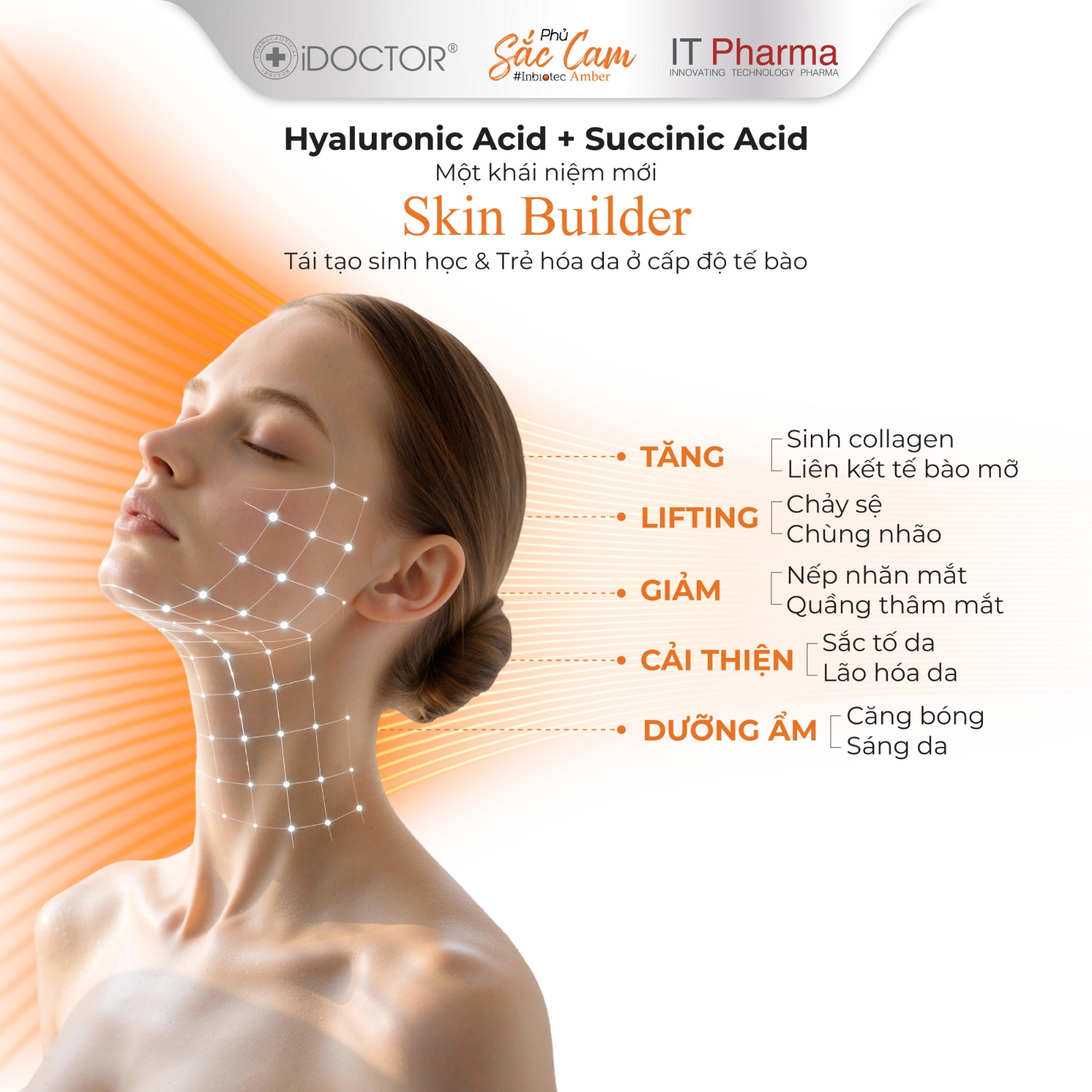 Liệu Trình Tiêm BAP Inbiotec Amber: Phác Đồ Phục Hồi & Trẻ Hóa Da Italy