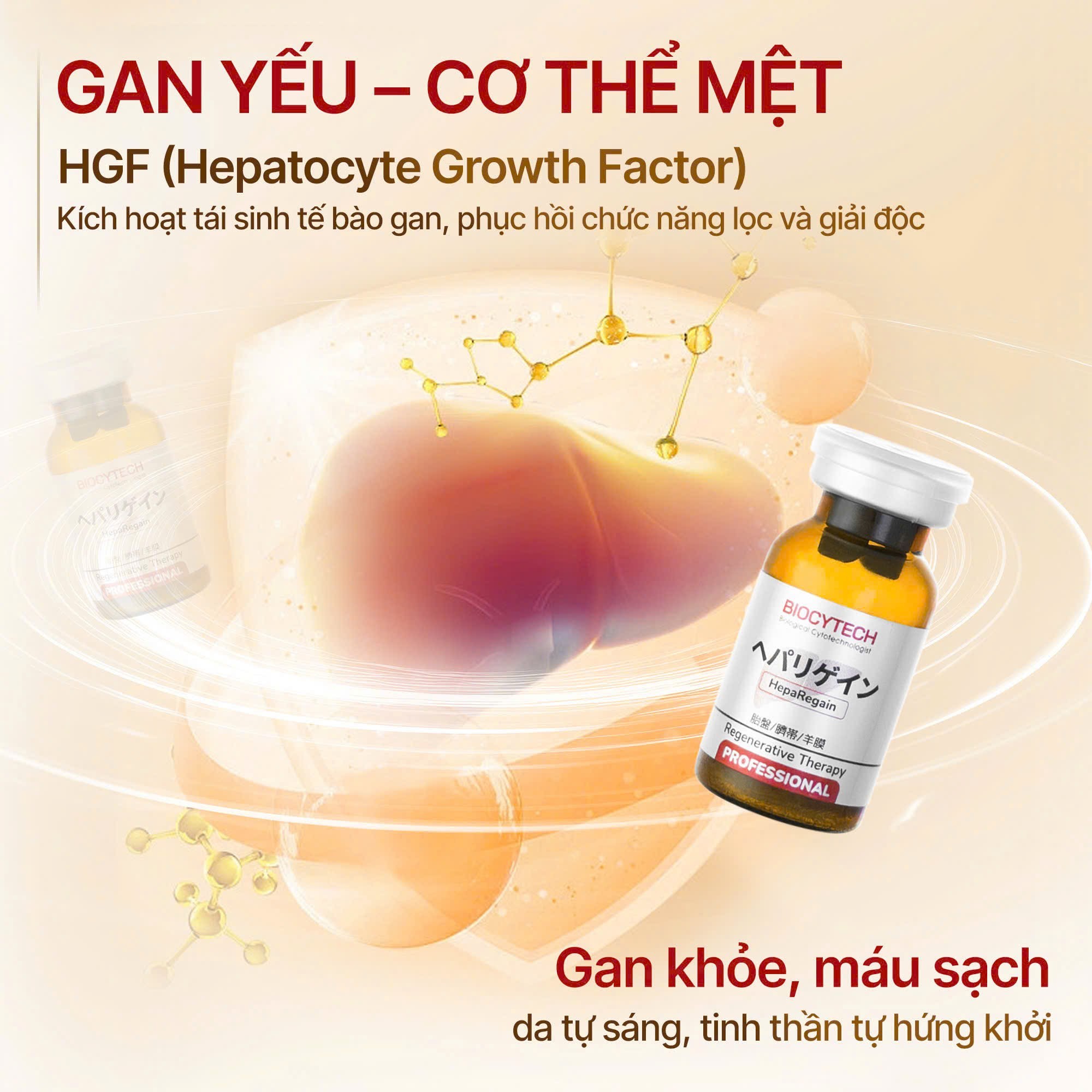 Liệu pháp tái tạo gan, cân bằng nội tiết Biocytech Heparegain Professional