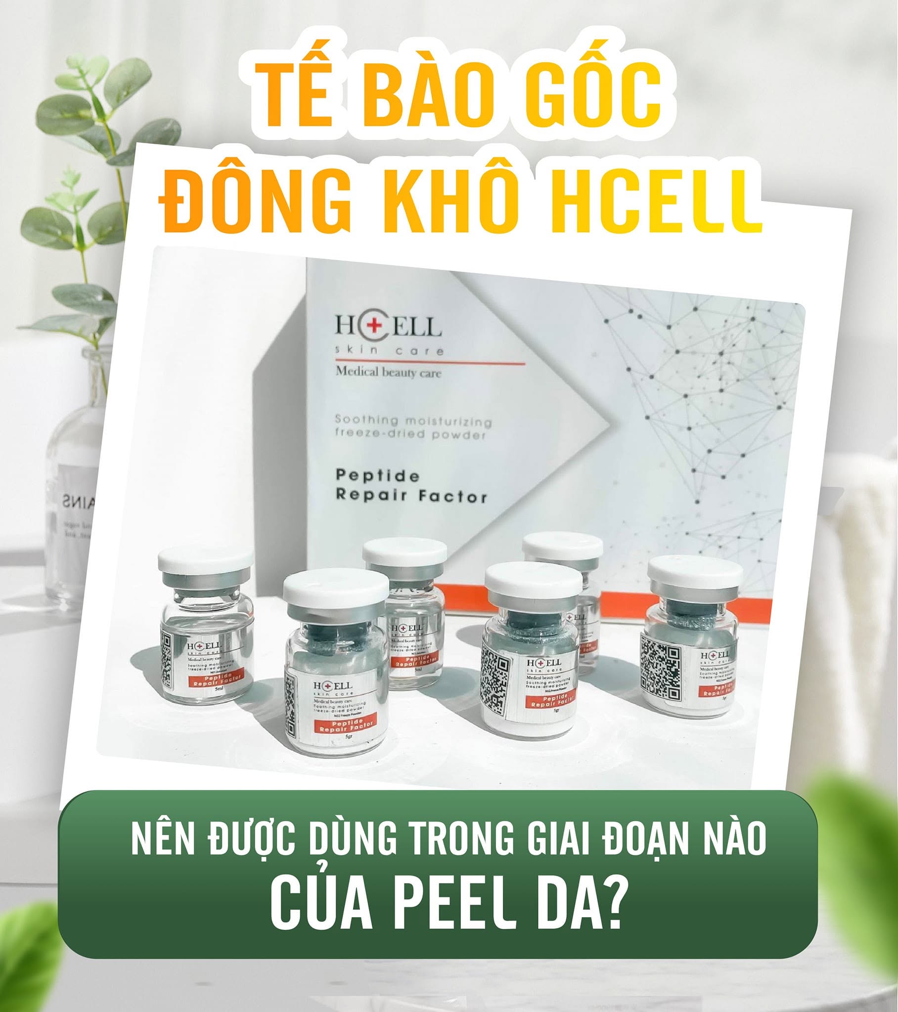 Tế Bào Gốc Hcell Đông Khô Peptide Repair Factor nuôi dưỡng, tái tạo phục hồi da