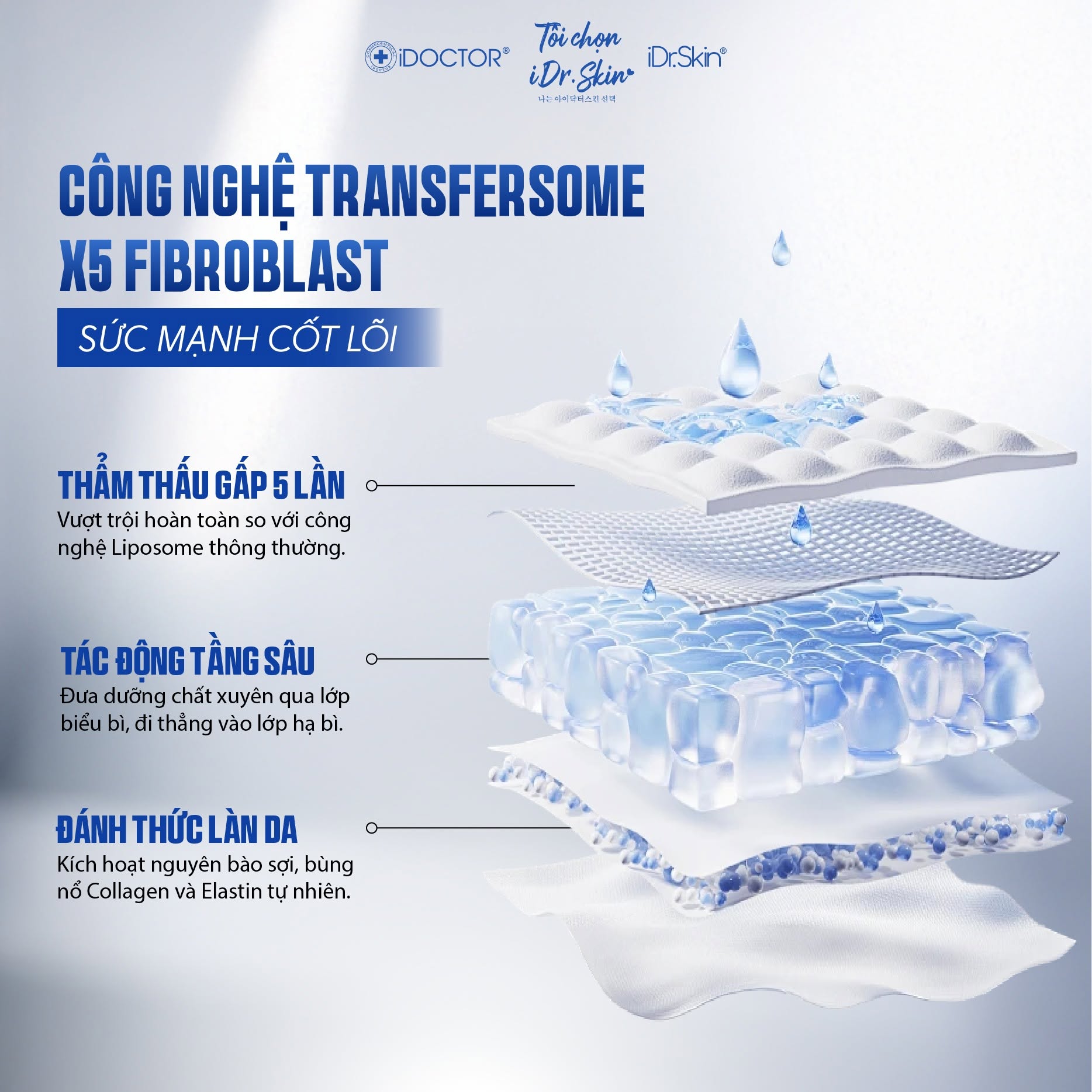 Tế bào gốc DNA cá hồi IDr.Skin Salmon-p Dna Ampoule phục hồi tái tạo da làm mờ các nếp nhăn 1 lọ 8ml