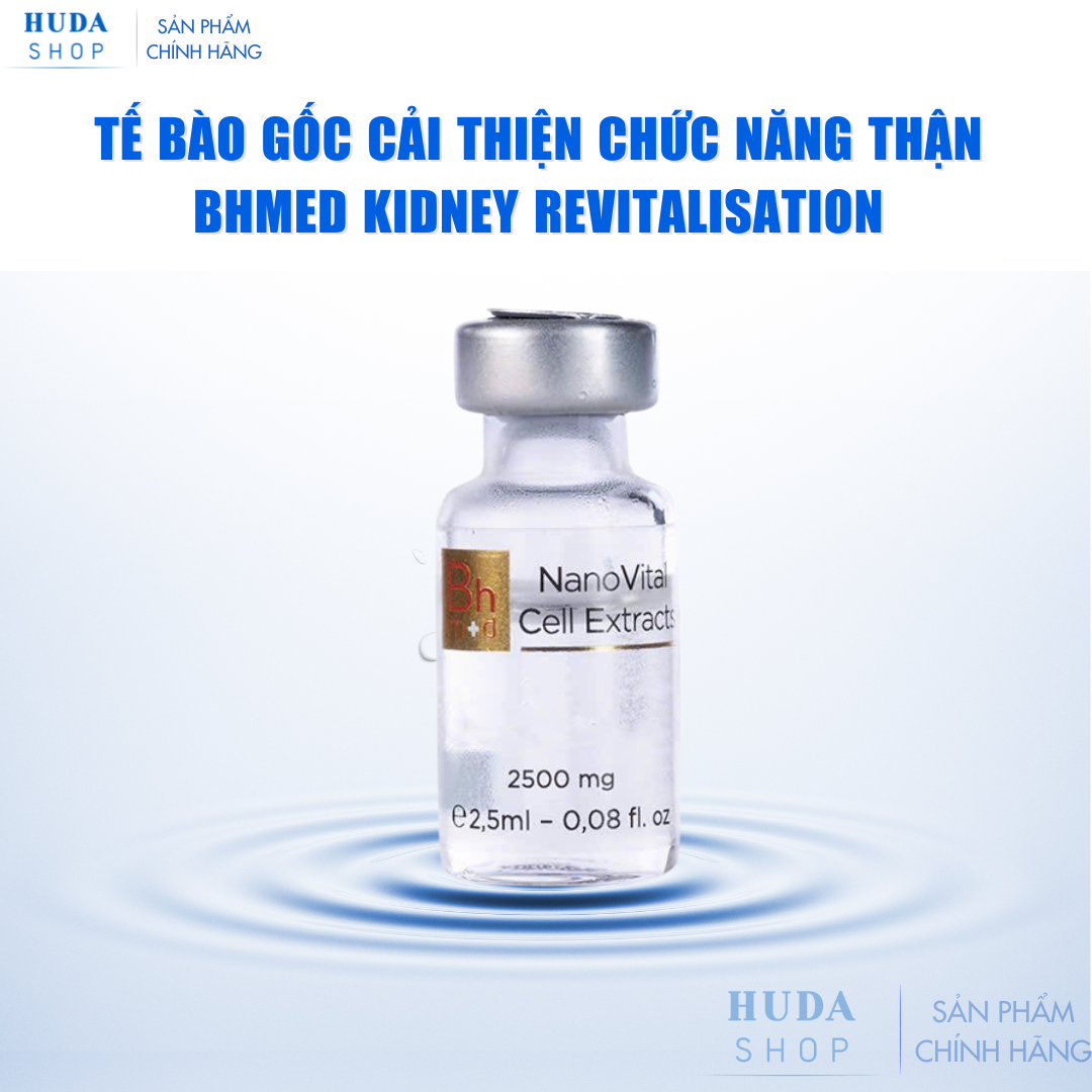 Tế bào gốc cải thiện chức năng thận Bhmed Kidney Revitalisation
