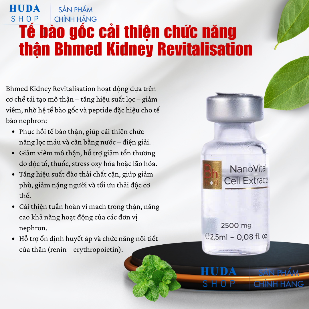 Tế bào gốc cải thiện chức năng thận Bhmed Kidney Revitalisation