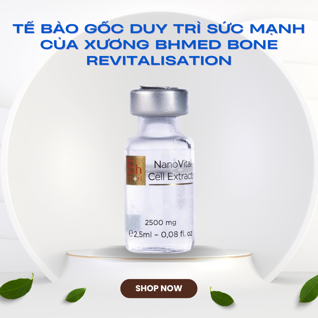 Tế bào gốc duy trì sức mạnh của Xương Bhmed Bone Revitalisation