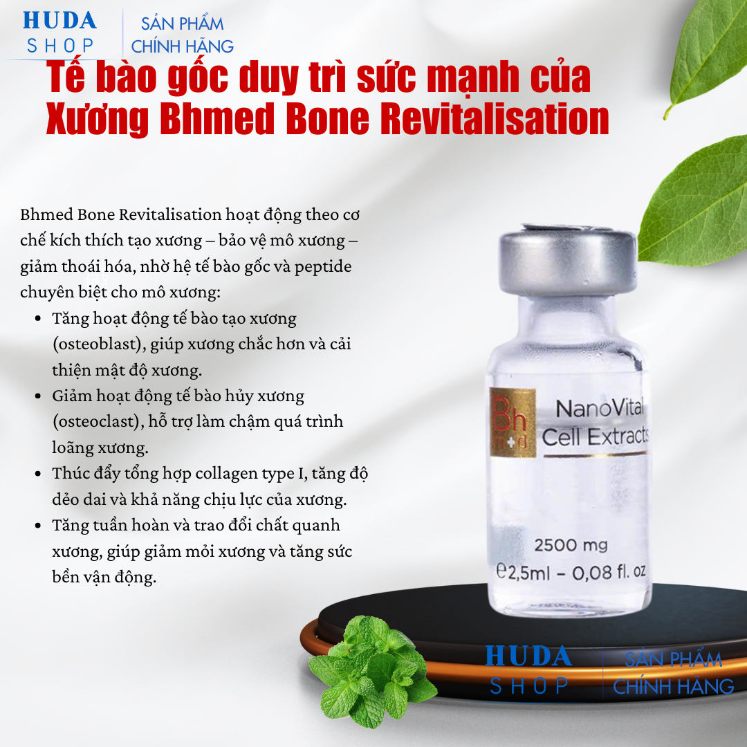 Tế bào gốc duy trì sức mạnh của Xương Bhmed Bone Revitalisation