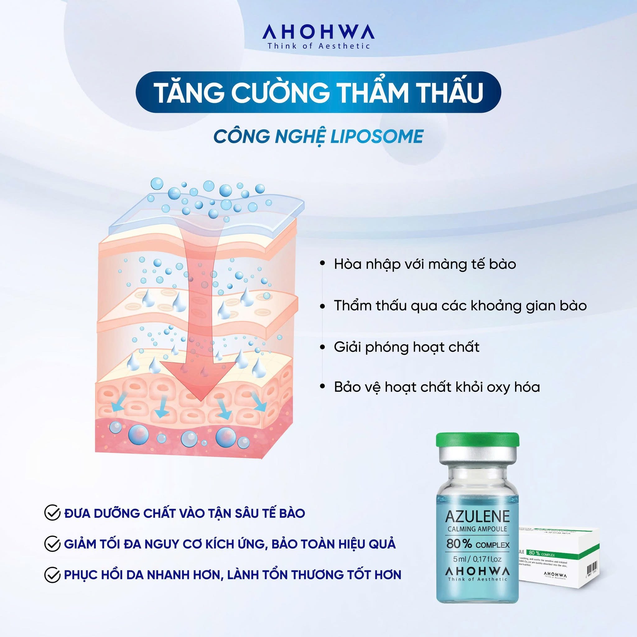 Tế bào gốc kháng viêm phục hồi tái tạo da mụn Ahohwa Azulene Calming Ampoule 80%