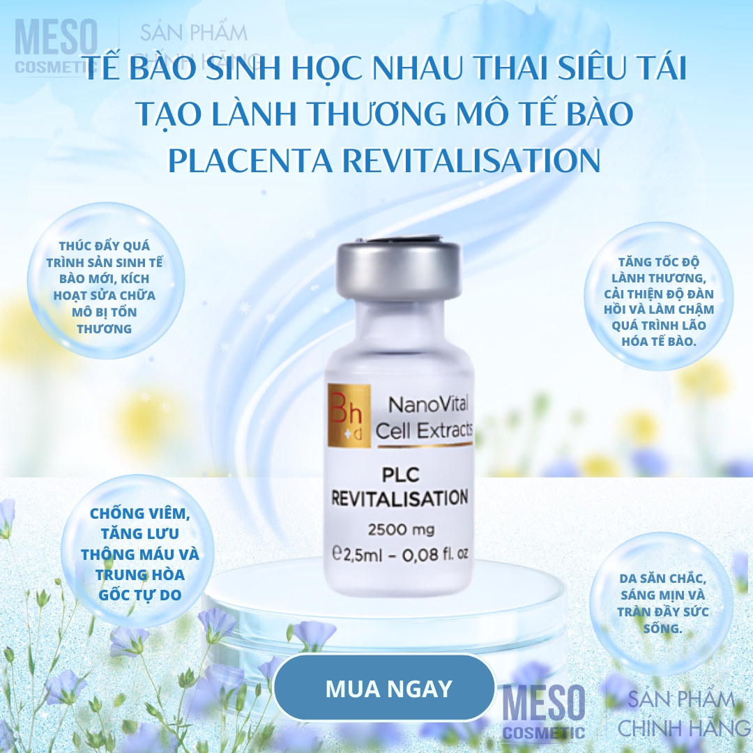 Tế bào sinh học nhau thai siêu tái tạo lành thương mô tế bào Bhmed PLACENTA REVITALISATION