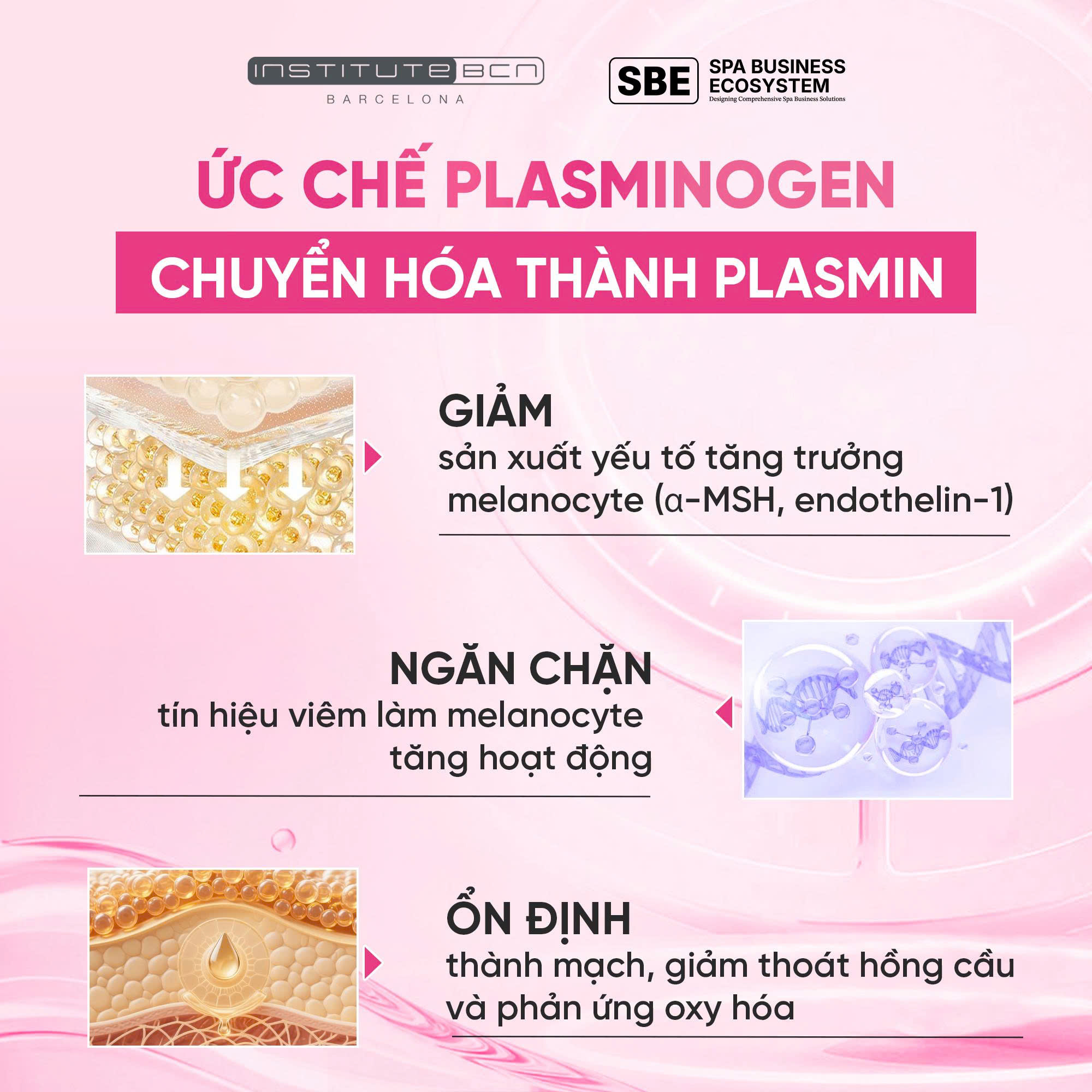 Tinh chất Tranexamic Acid Insititute BCN sáng da, mờ nám