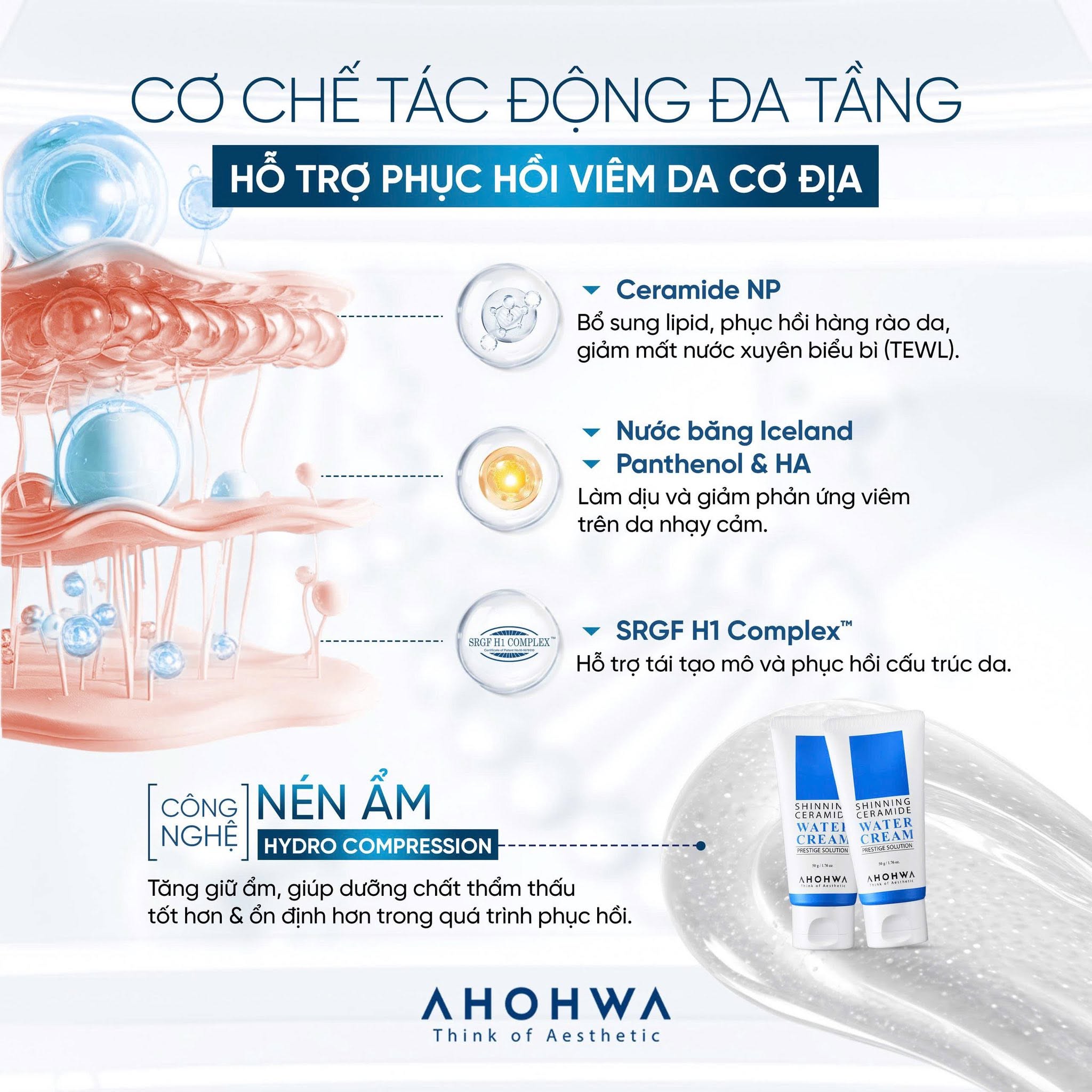 Kem dưỡng siêu cấp nước phục hồi hàng rào bảo vệ da Ahohwa Prestige Solution Shinning Ceramide Water Cream 3.jpg