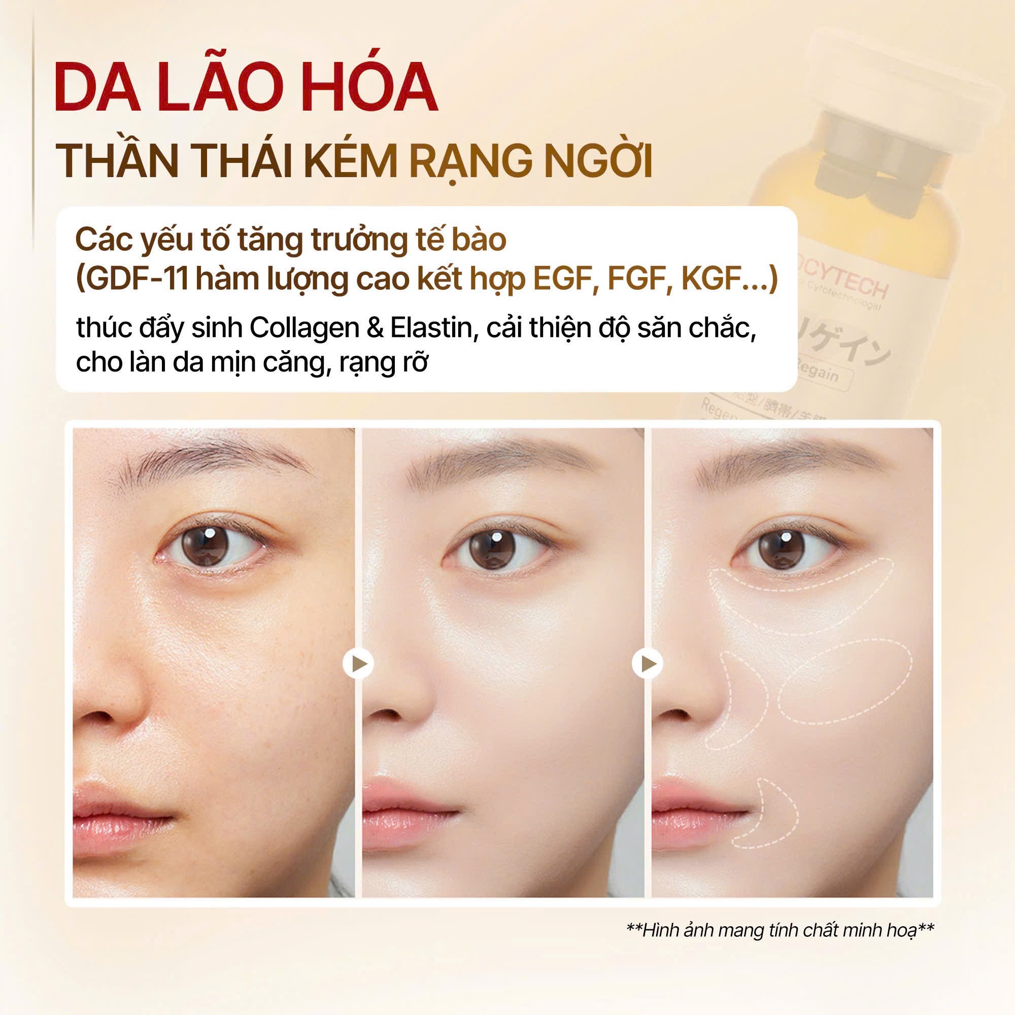 Lieu-phap-tai-tao-gan-can-bang-noi-tiet-Biocytech-Heparegain-Professional_Liệu pháp tái tạo gan, cân bằng nội tiết Biocytech Heparegain Professional 5.jpg
