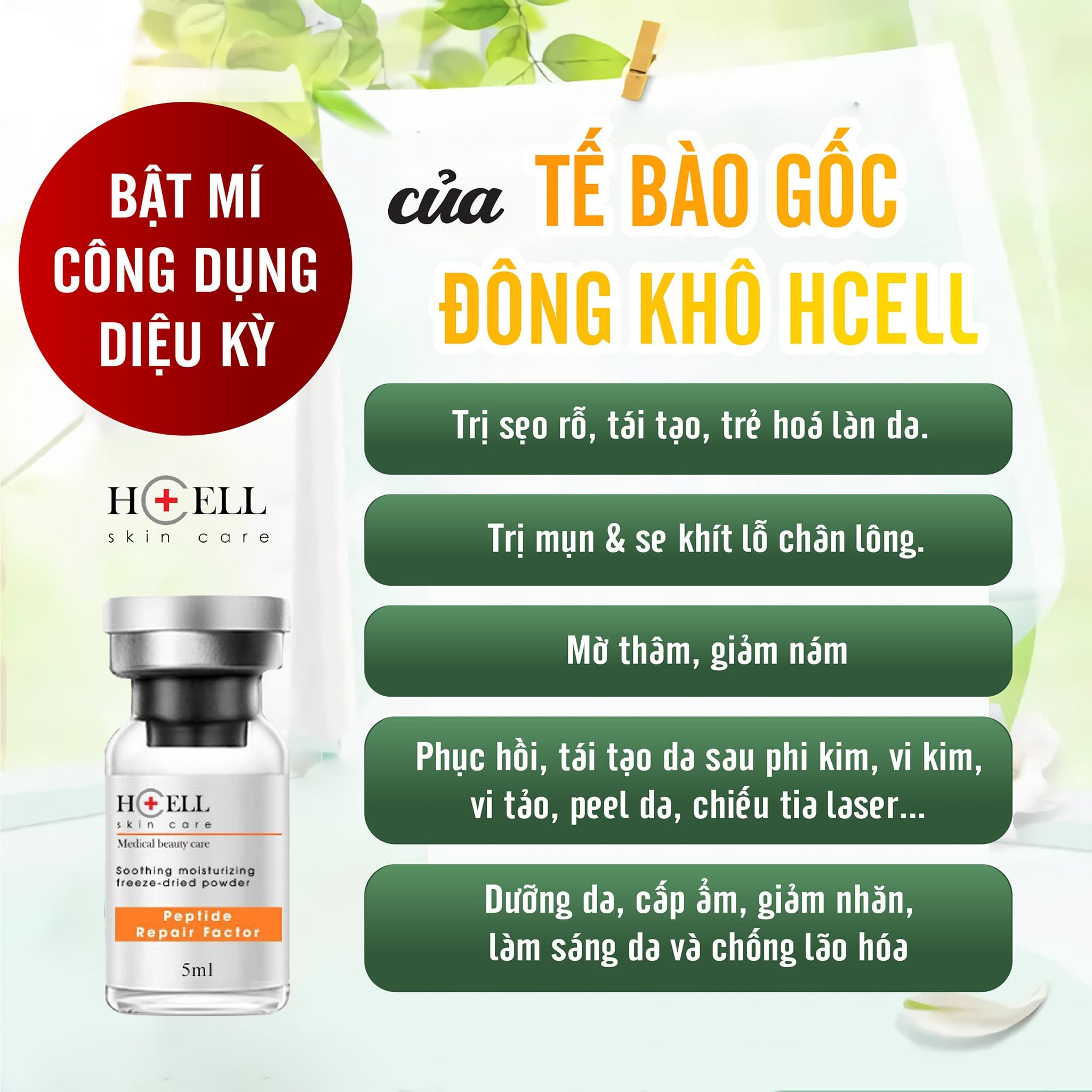 Tế Bào Gốc Hcell Đông Khô Peptide Repair Factor nuôi dưỡng, tái tạo phục hồi da 11.jpg