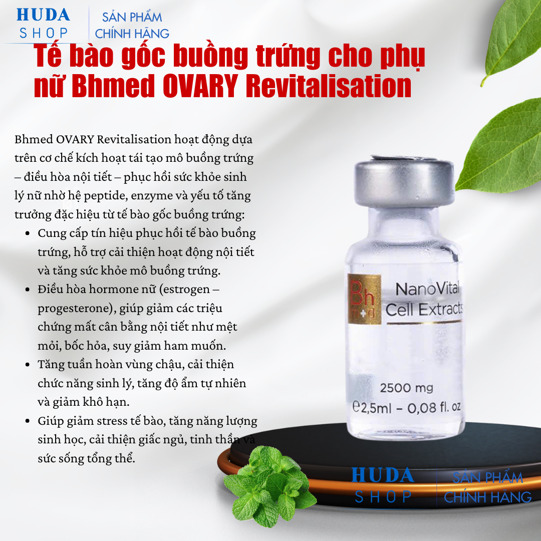 Te-bao-goc-buong-trung-cho-phu-nu-Bhmed-OVARY-Revitalisation_Tế bào gốc buồng trứng cho phụ nữ Bhmed OVARY Revitalisation.png