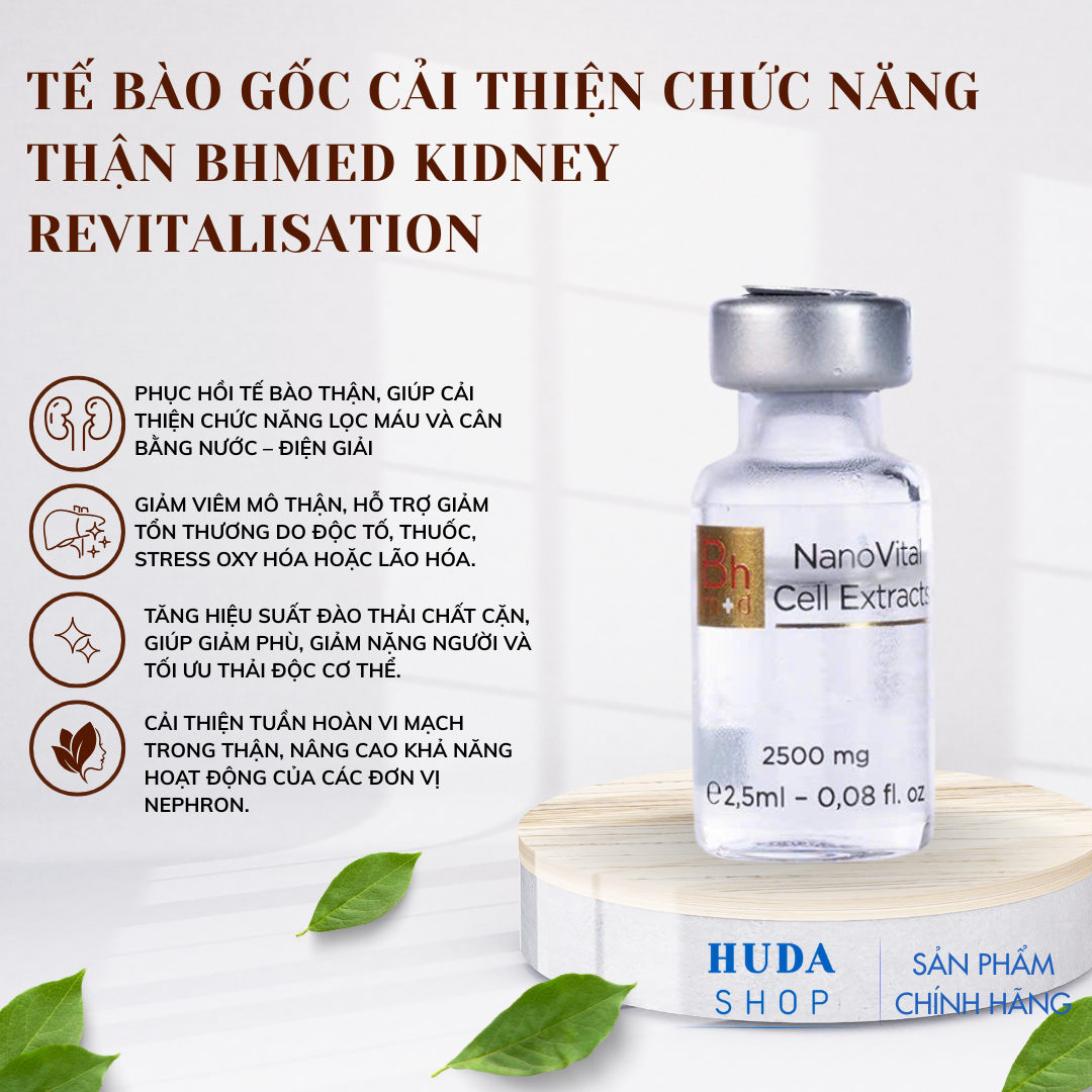 Te-bao-goc-cai-thien-chuc-nang-than-Bhmed-Kidney-Revitalisation_Tế bào gốc cải thiện chức năng thận Bhmed Kidney Revitalisation 4.png