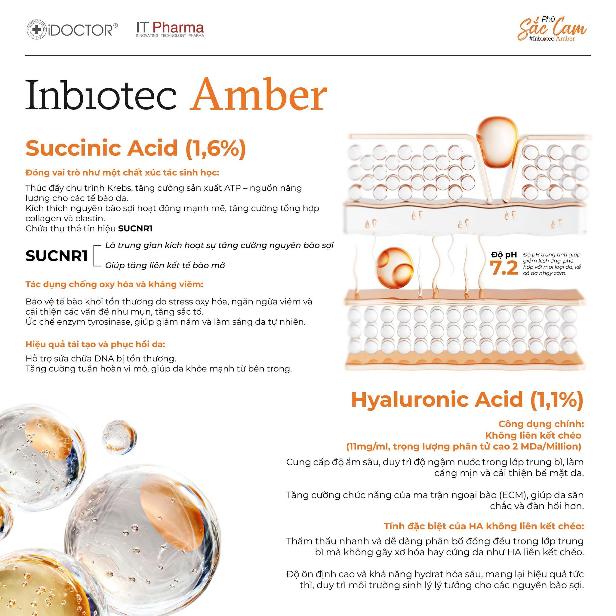 Tiem-BAP-Inbiotec-Amber-1.jpg?v=1775103824