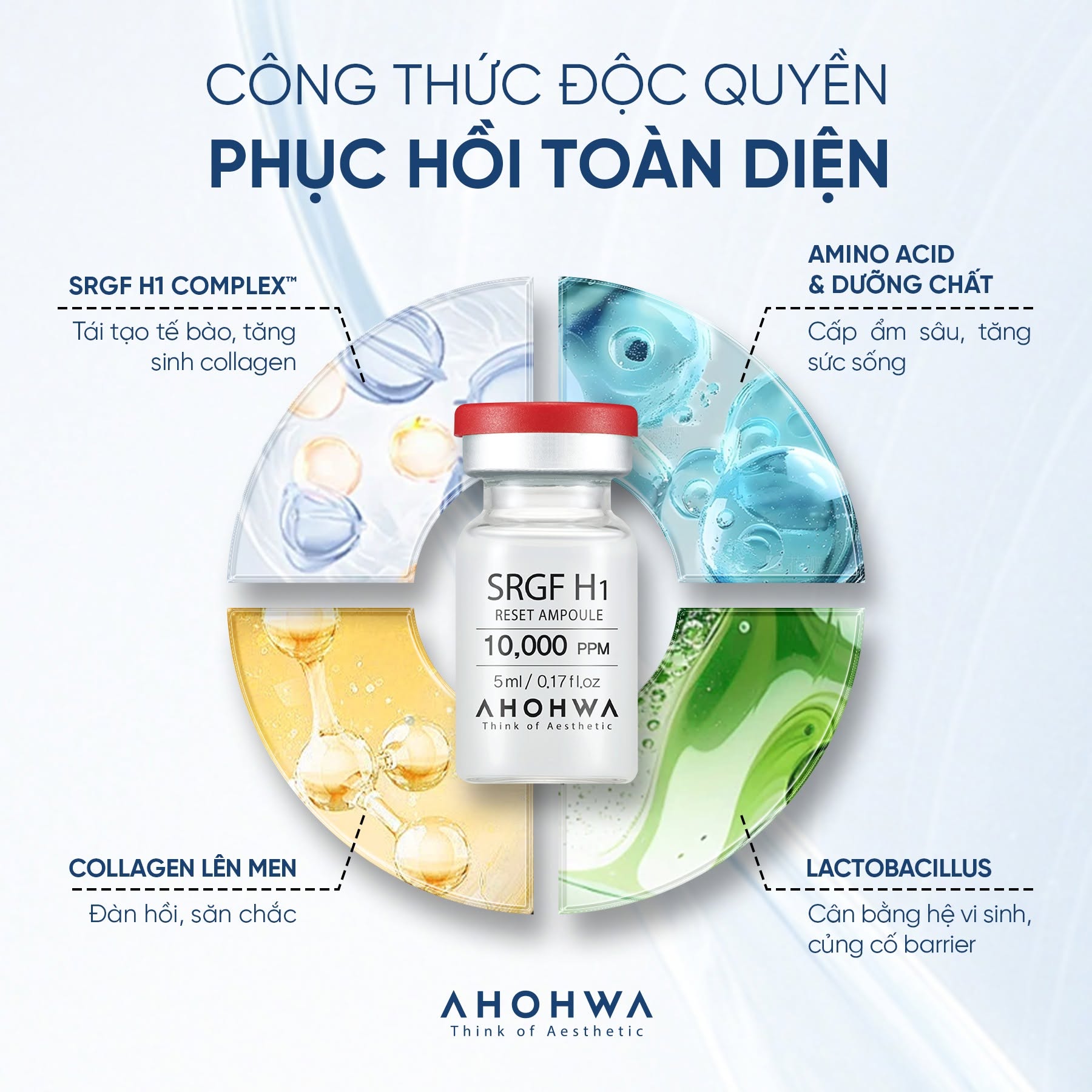 Tinh chất tăng trưởng tế bào gốc Ahohwa SRGF H1 Reset Ampoule 2.jpg