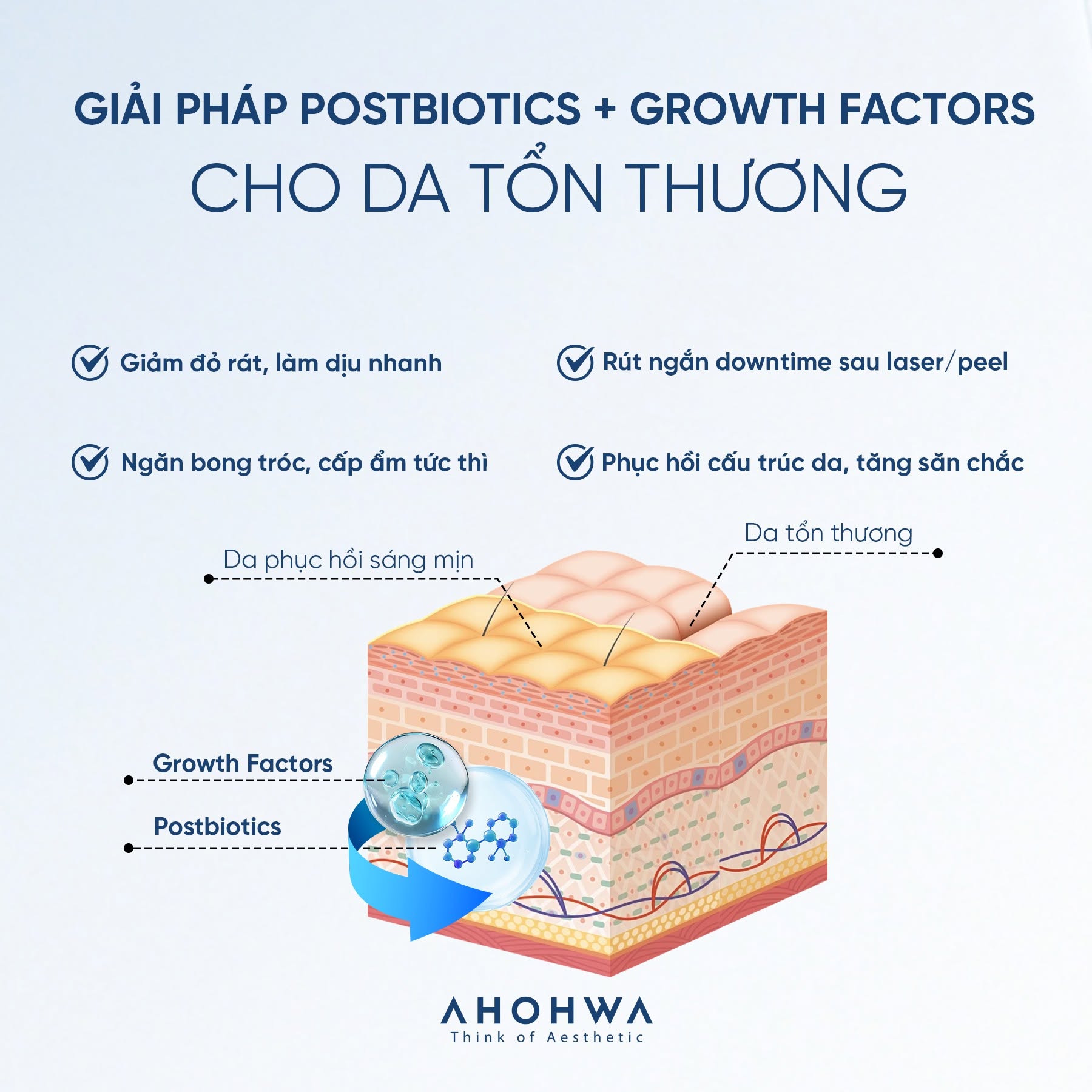 Tinh chất tăng trưởng tế bào gốc Ahohwa SRGF H1 Reset Ampoule 1.jpg