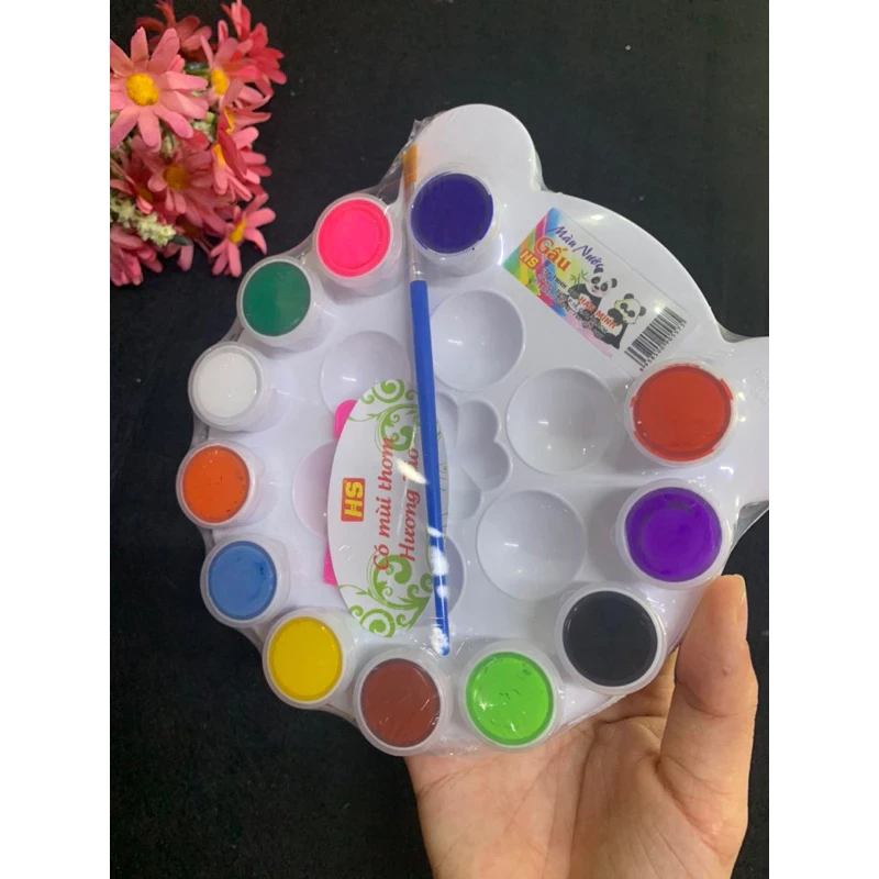 vỉ màu nước kèm khay pha AH 12m