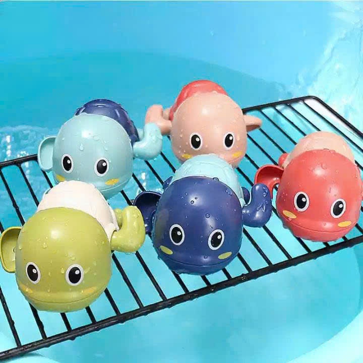 rùa mini bơi trong nước