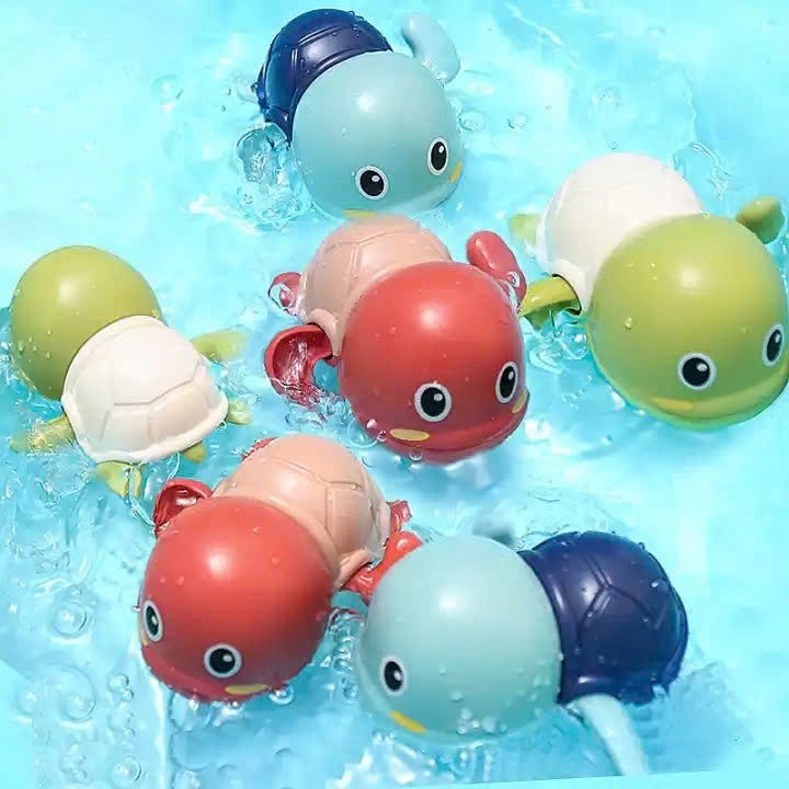 rùa mini bơi trong nước