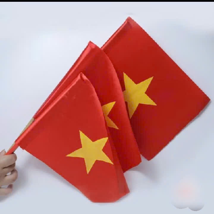 Cờ tổ quốc cầm tay